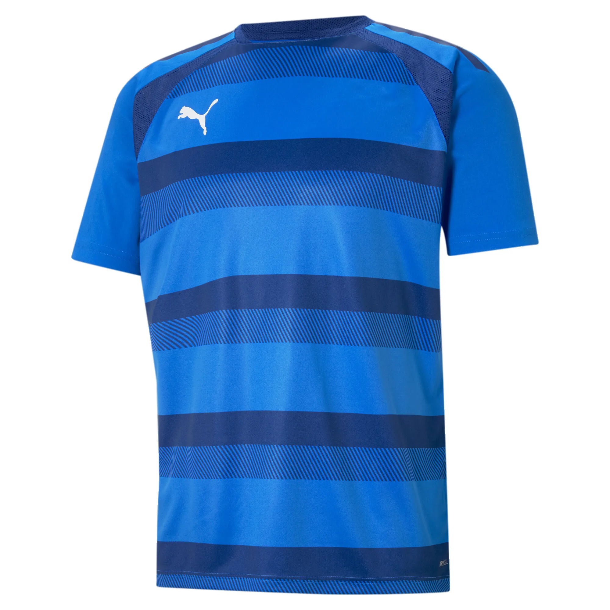 Puma Team Vision Jersey
