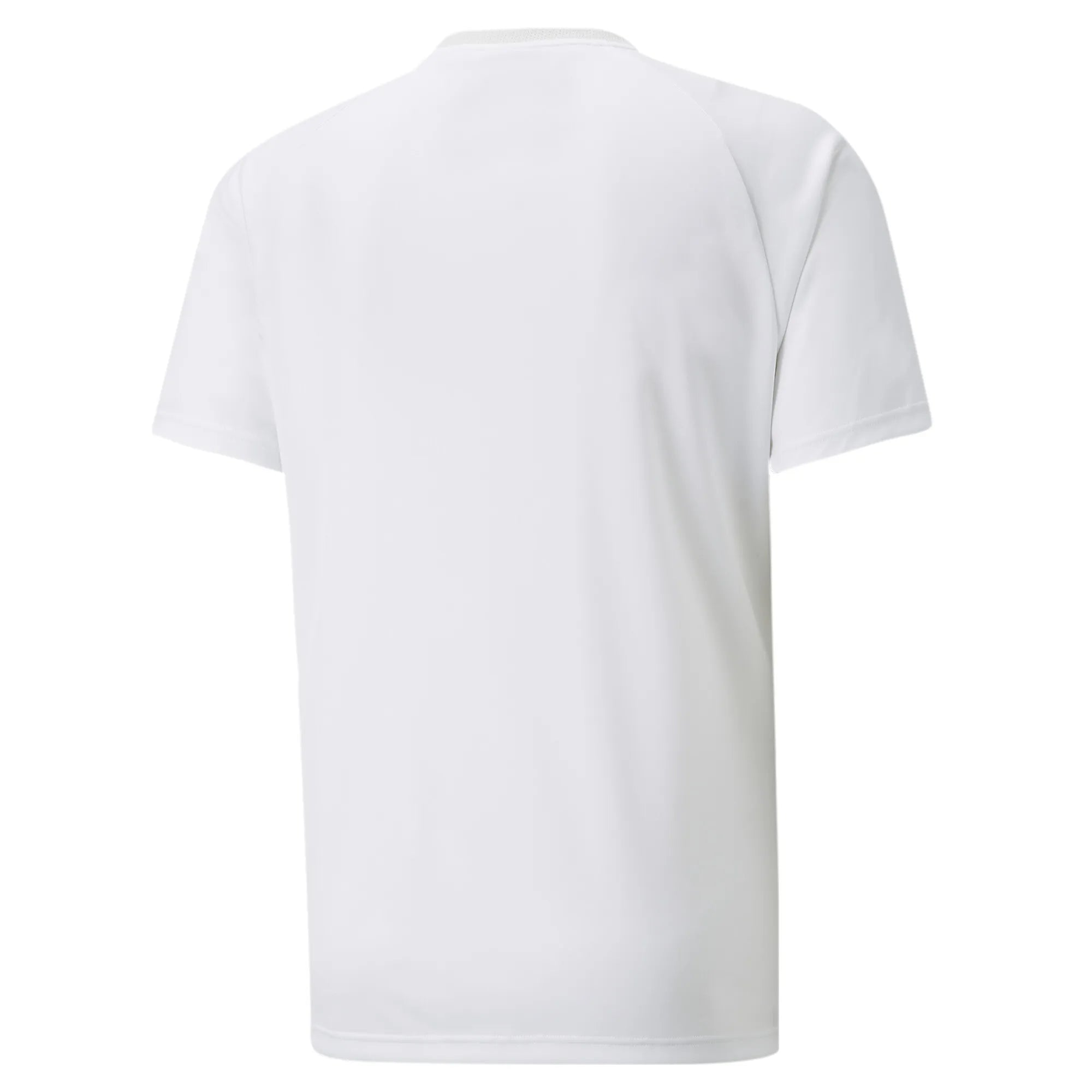 Puma Team Vision Jersey