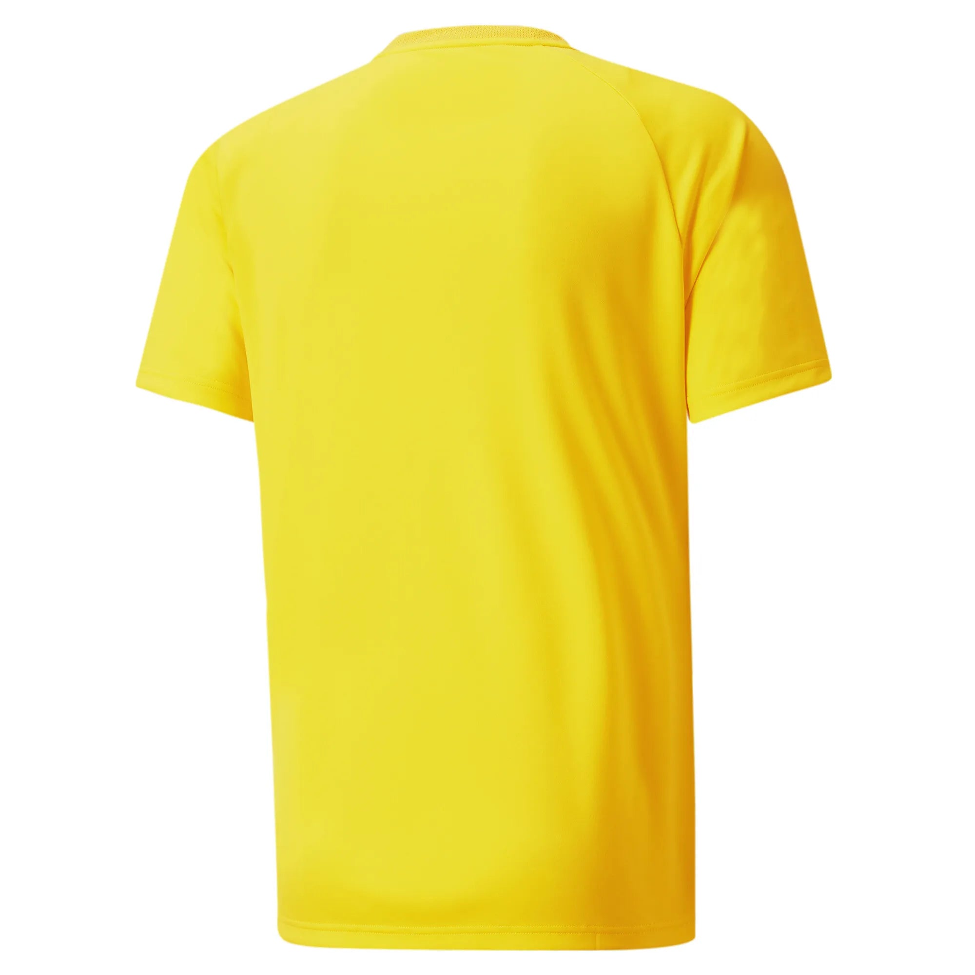 Puma Team Vision Jersey
