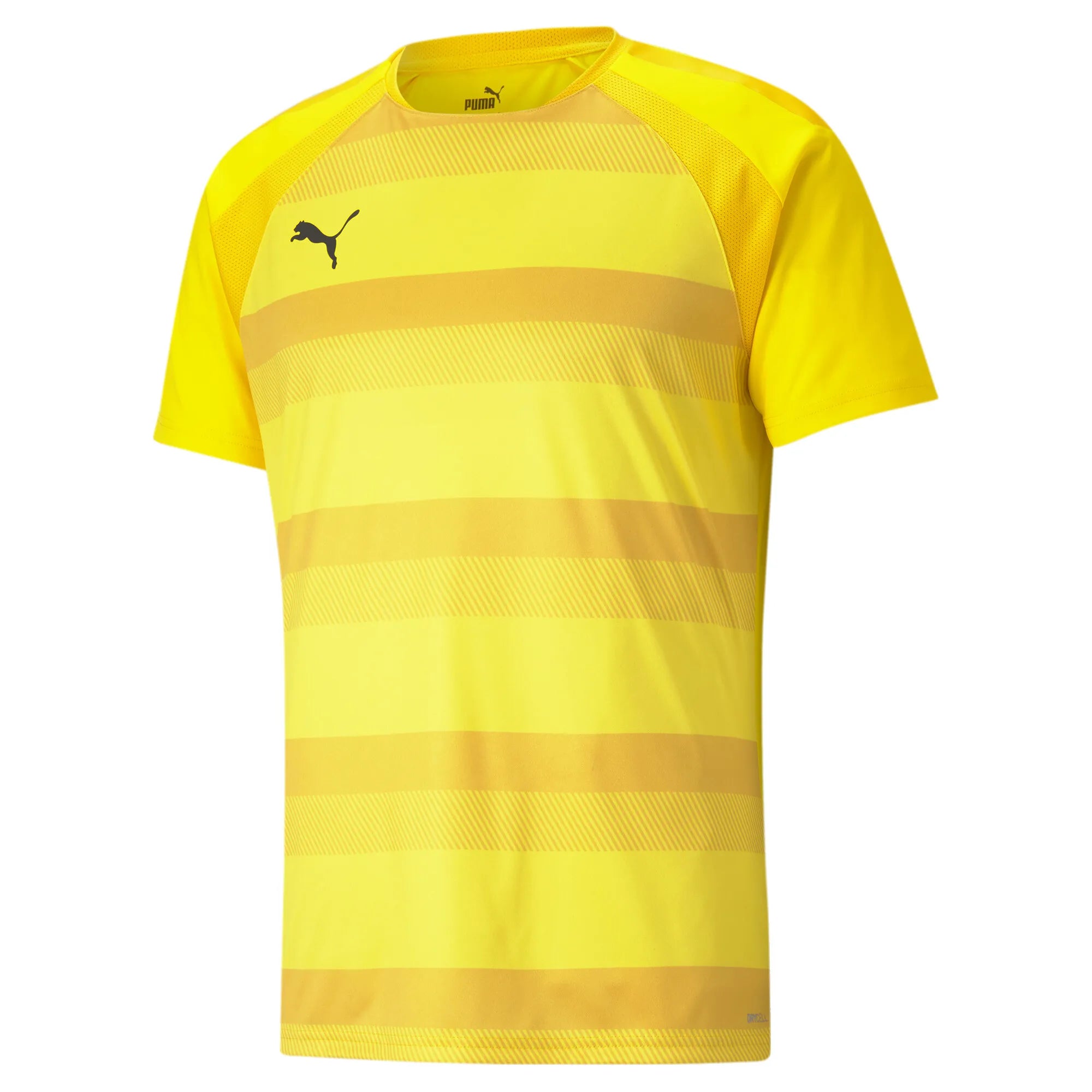 Puma Team Vision Jersey