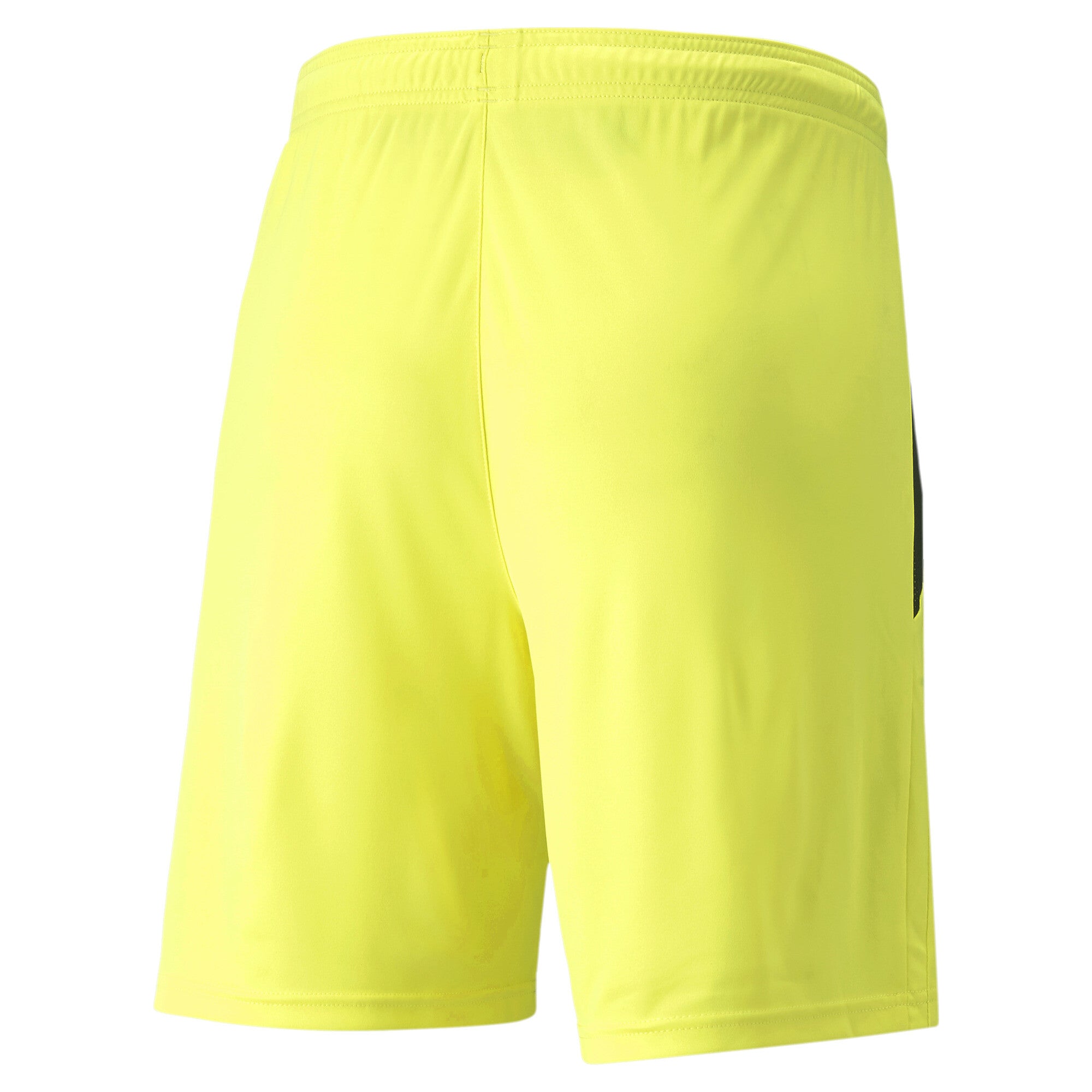 Puma Team Liga Shorts