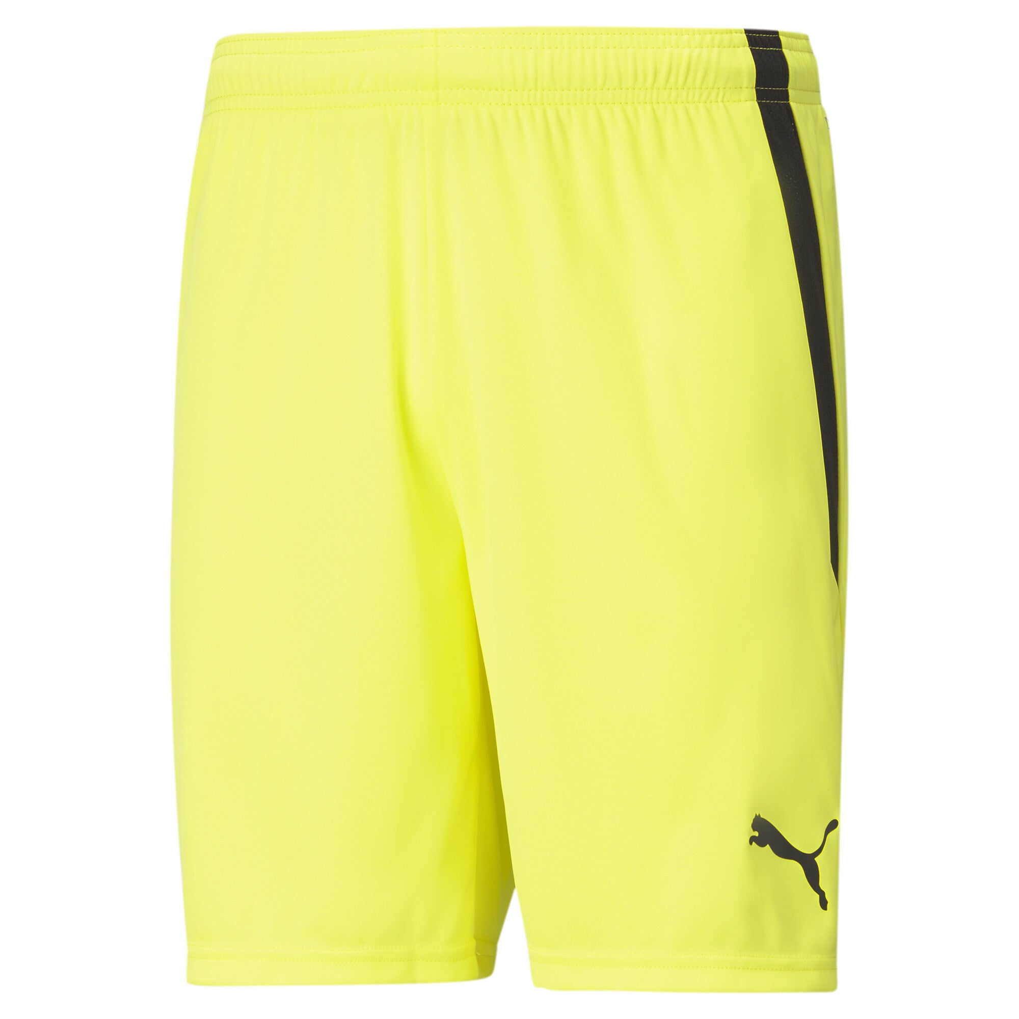 Puma Team Liga Shorts