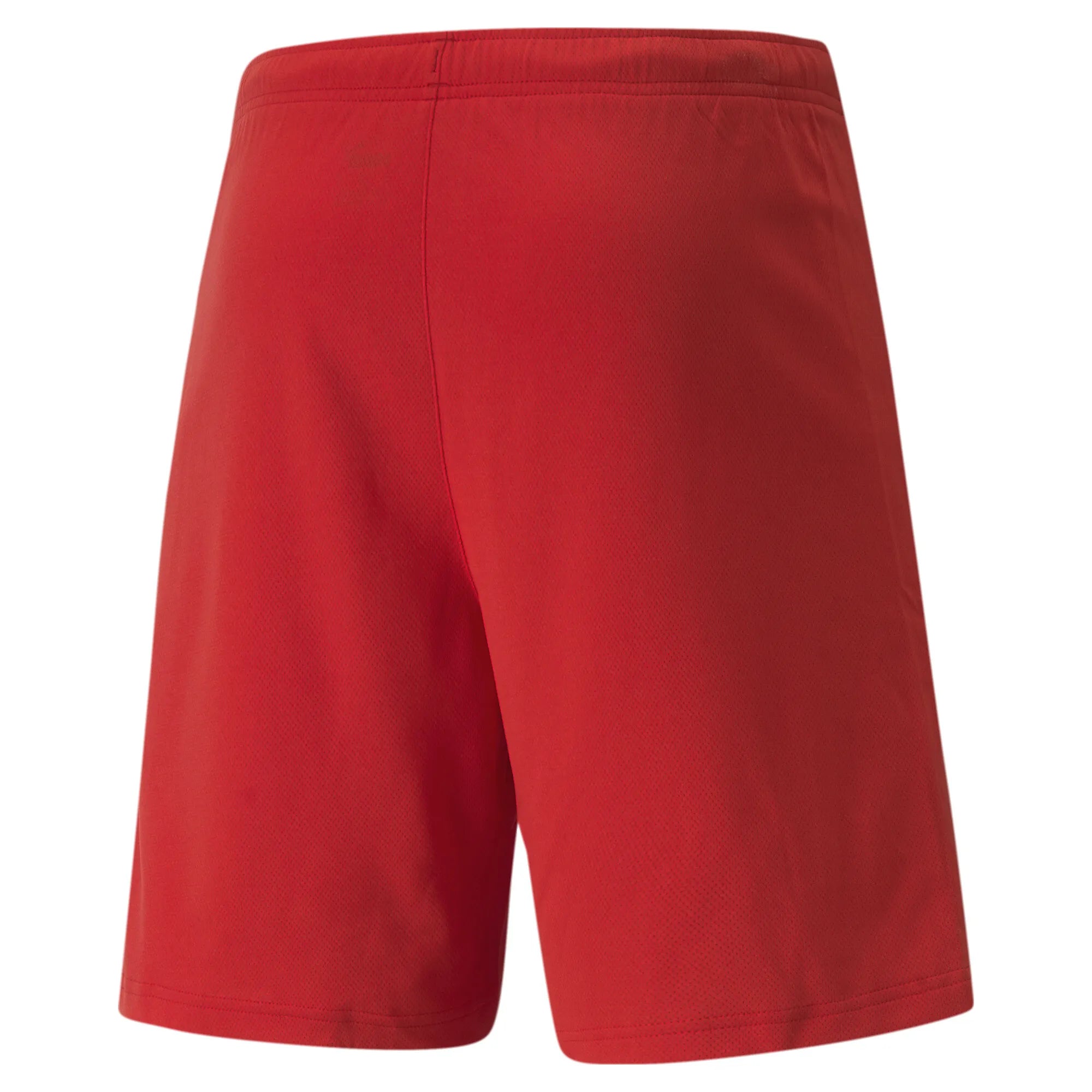 Puma Team Rise Shorts