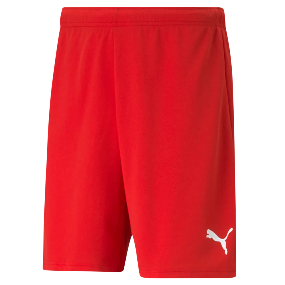 Puma Team Rise Shorts