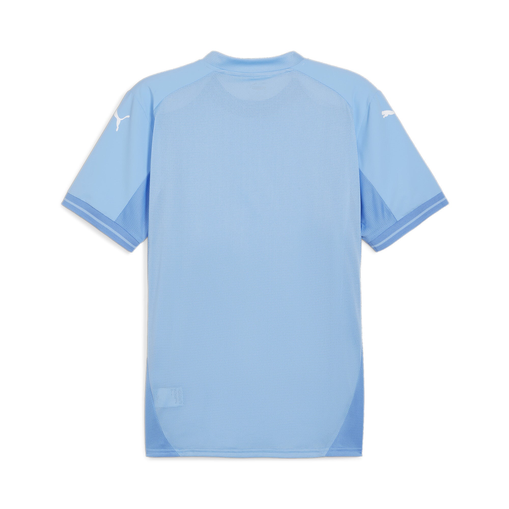 Puma Team Final Jersey