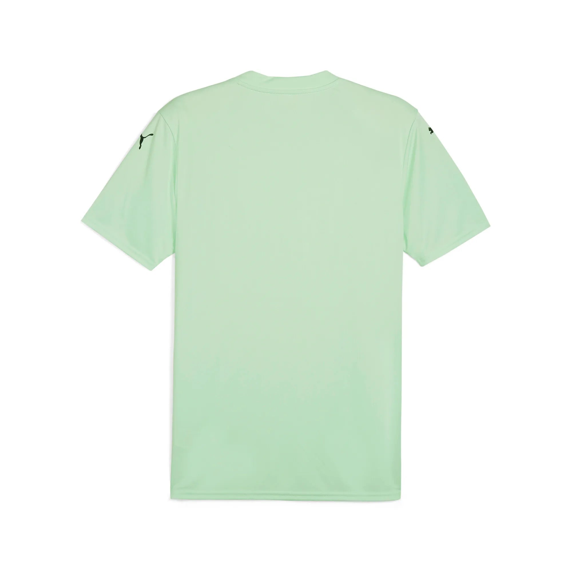 Puma Team Glory Jersey