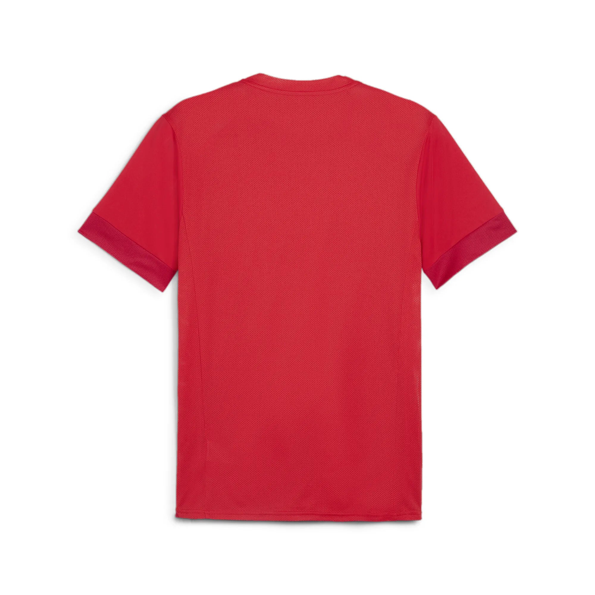 Puma Team Goal Matchday Jersey