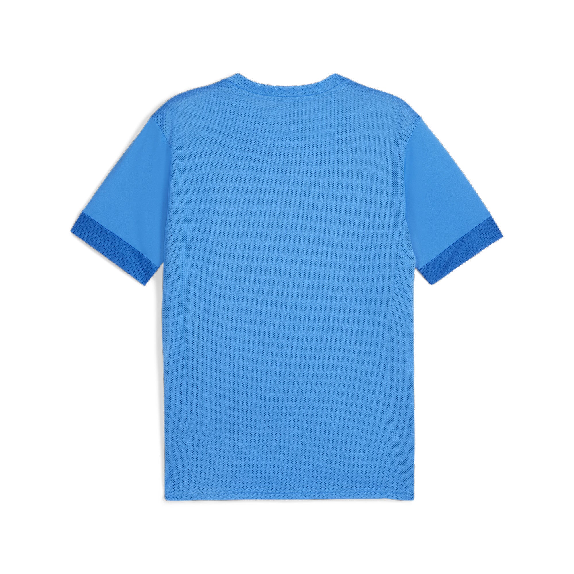 Puma Team Goal Matchday Jersey