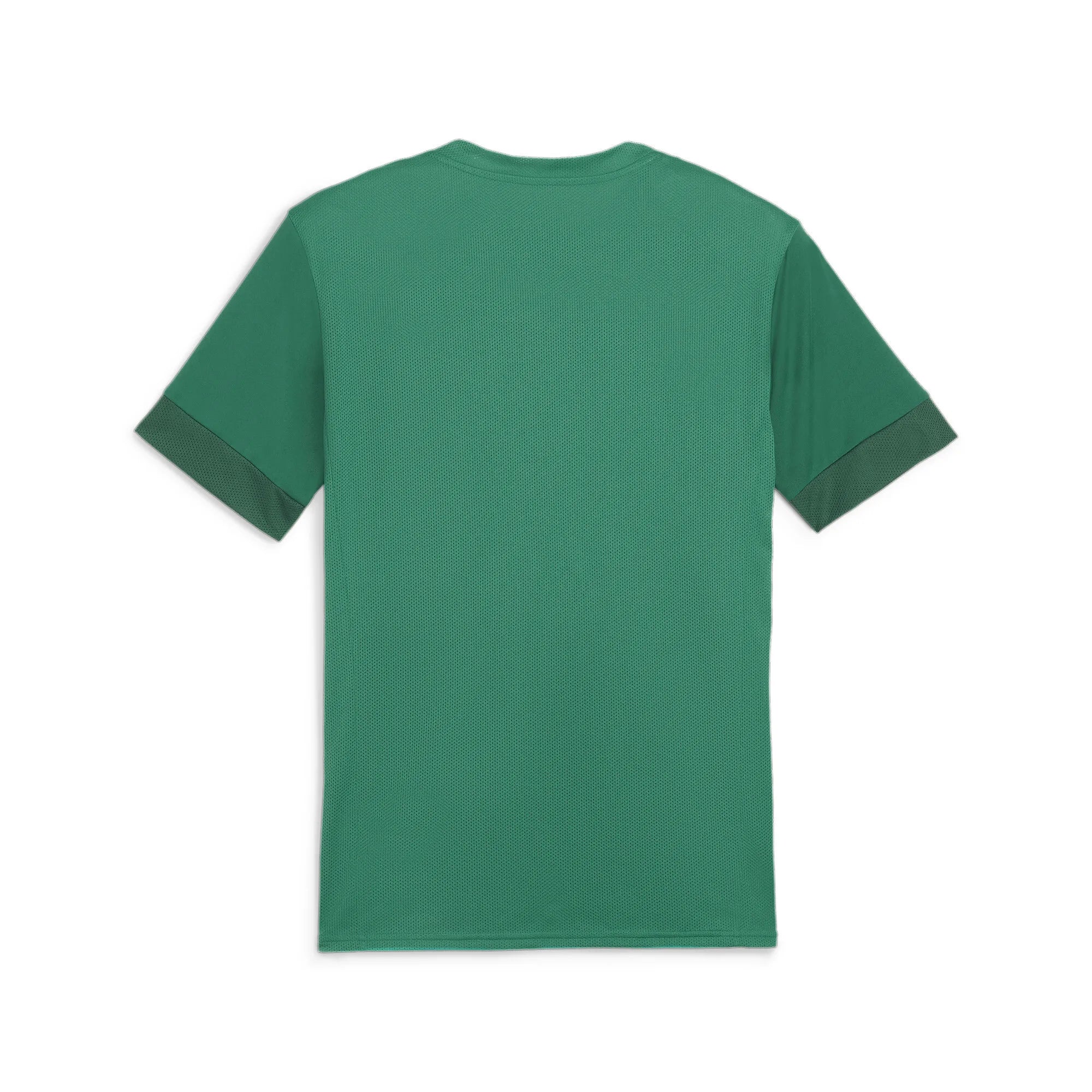 Puma Team Goal Matchday Jersey