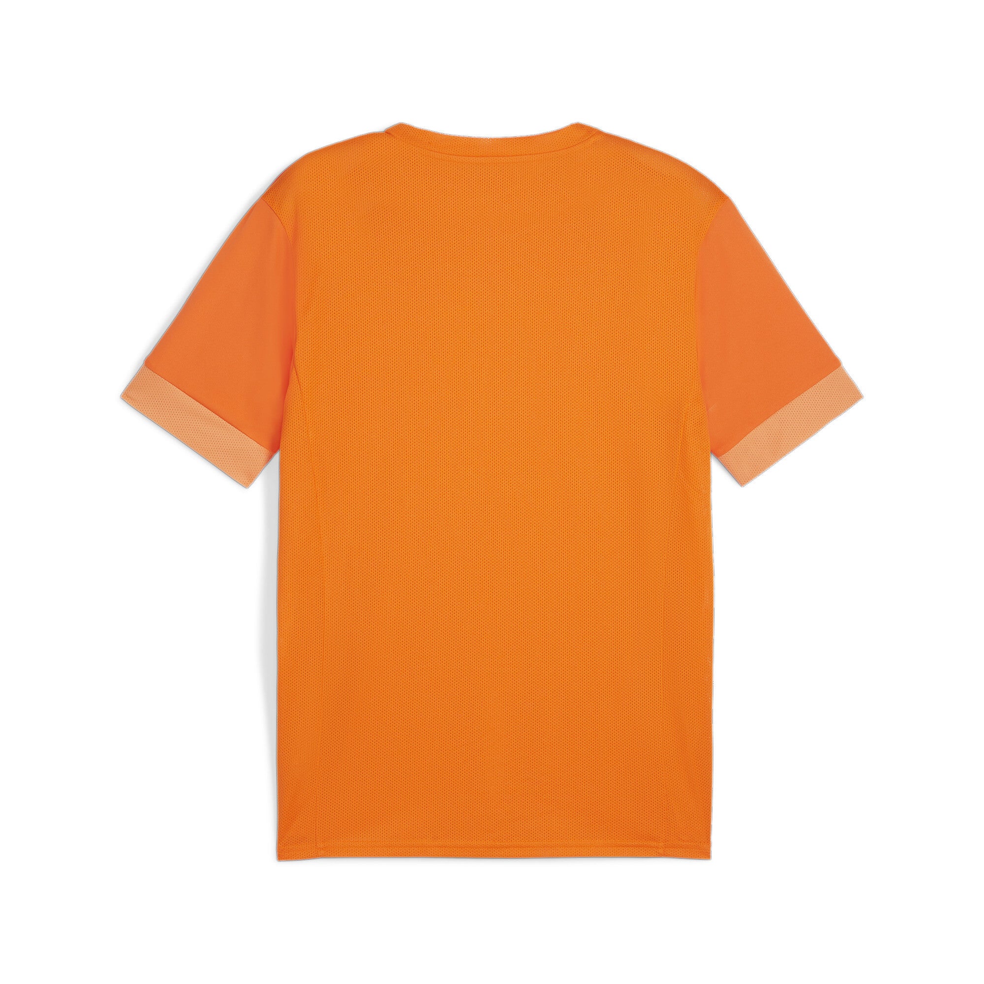 Puma Team Goal Matchday Jersey