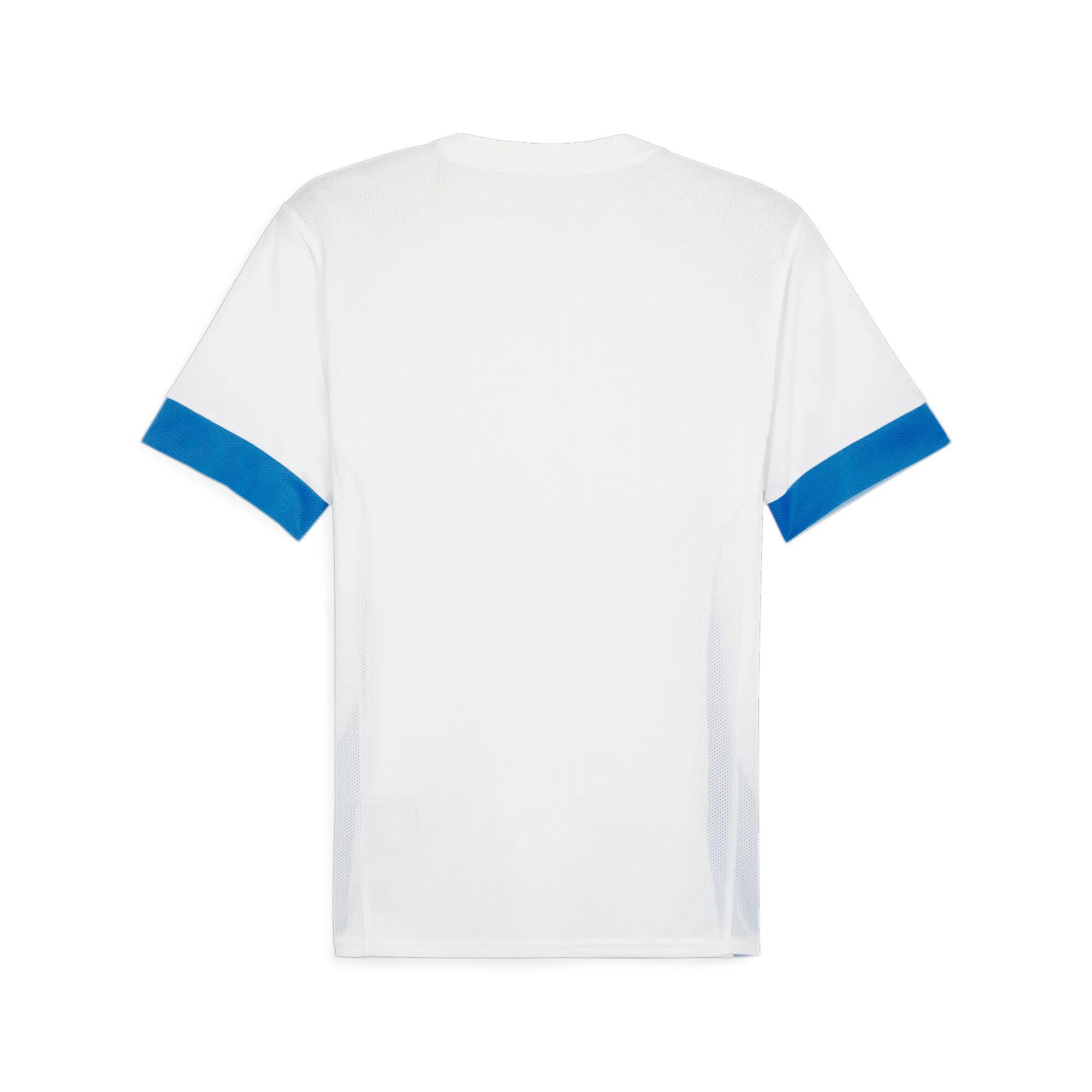Puma Team Goal Matchday Jersey