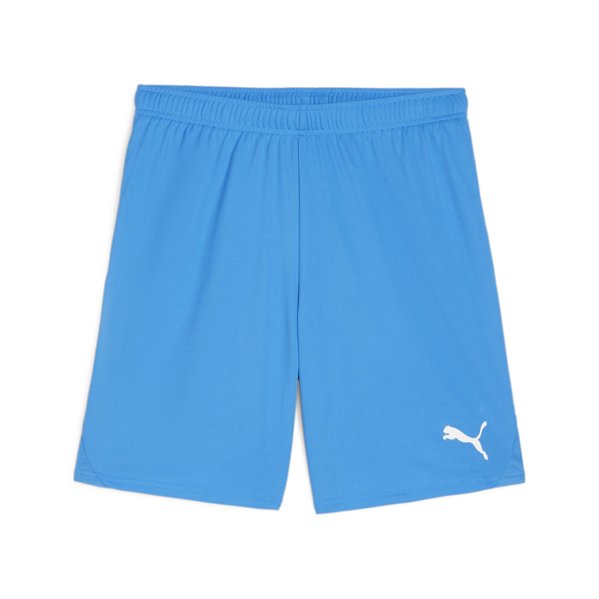 Puma Team Goal Shorts