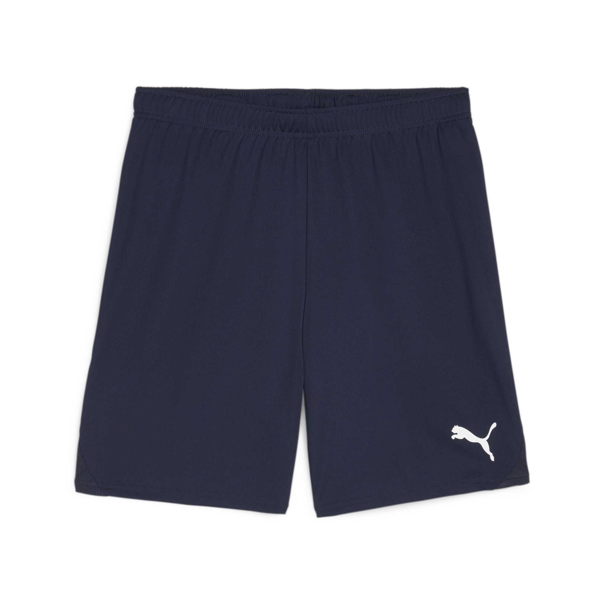 Puma Team Goal Shorts