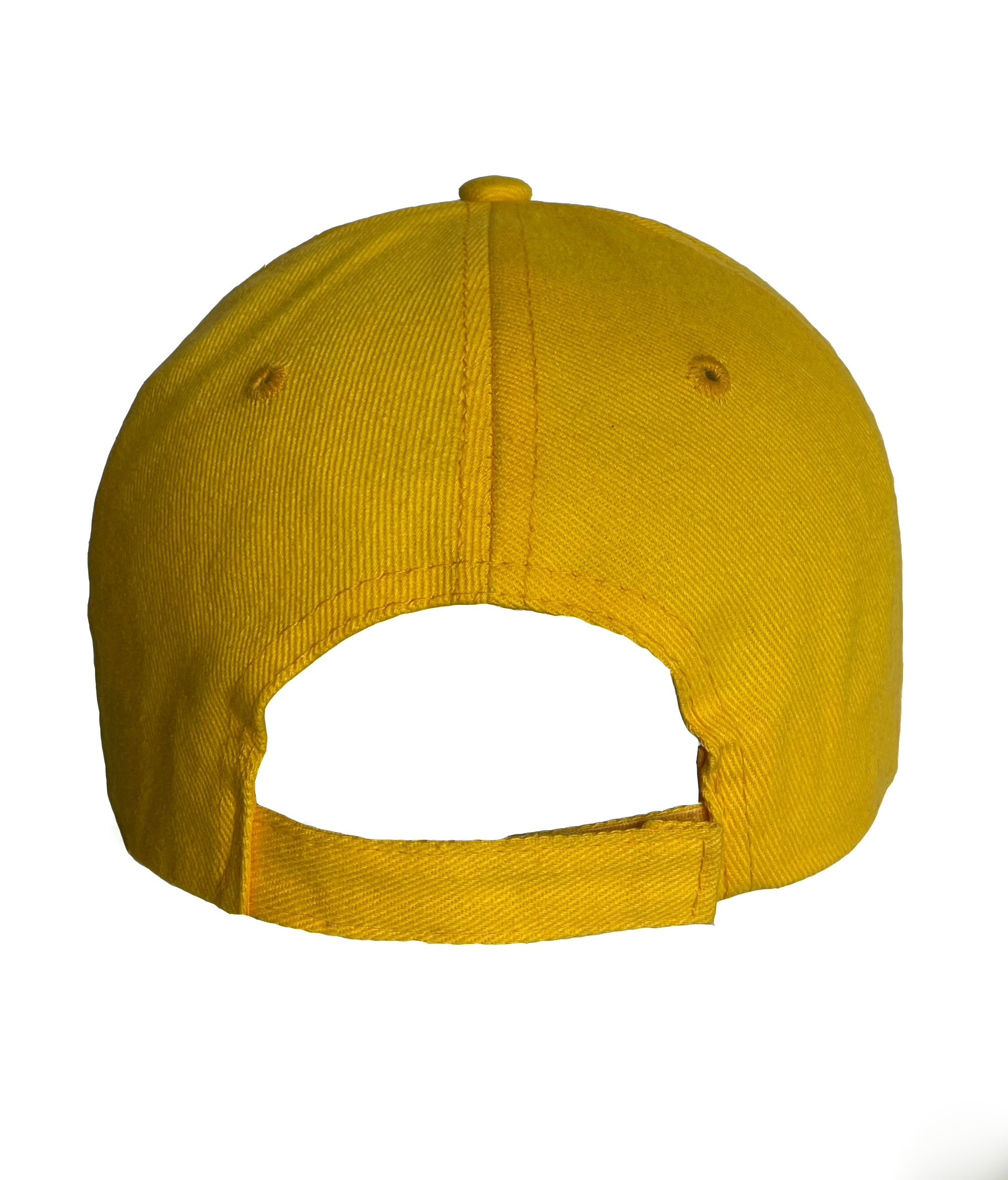 Brushed Heavy Cotton 6 Panel Cap