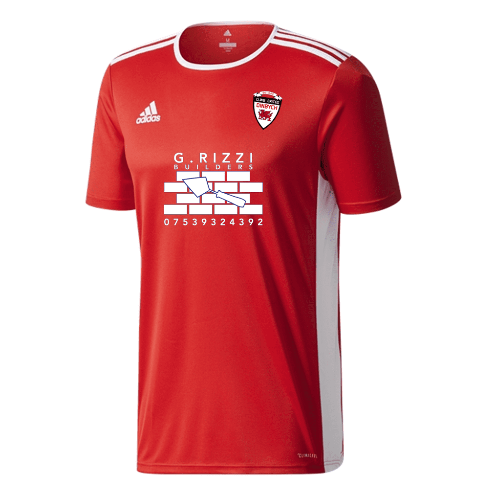 Denbigh C.C. Adidas T20 Shirt