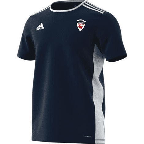 Denbigh C.C. Adidas Training Tee Shirt