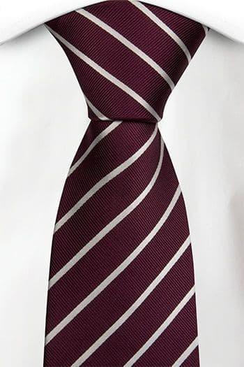 Elfed High School Tie