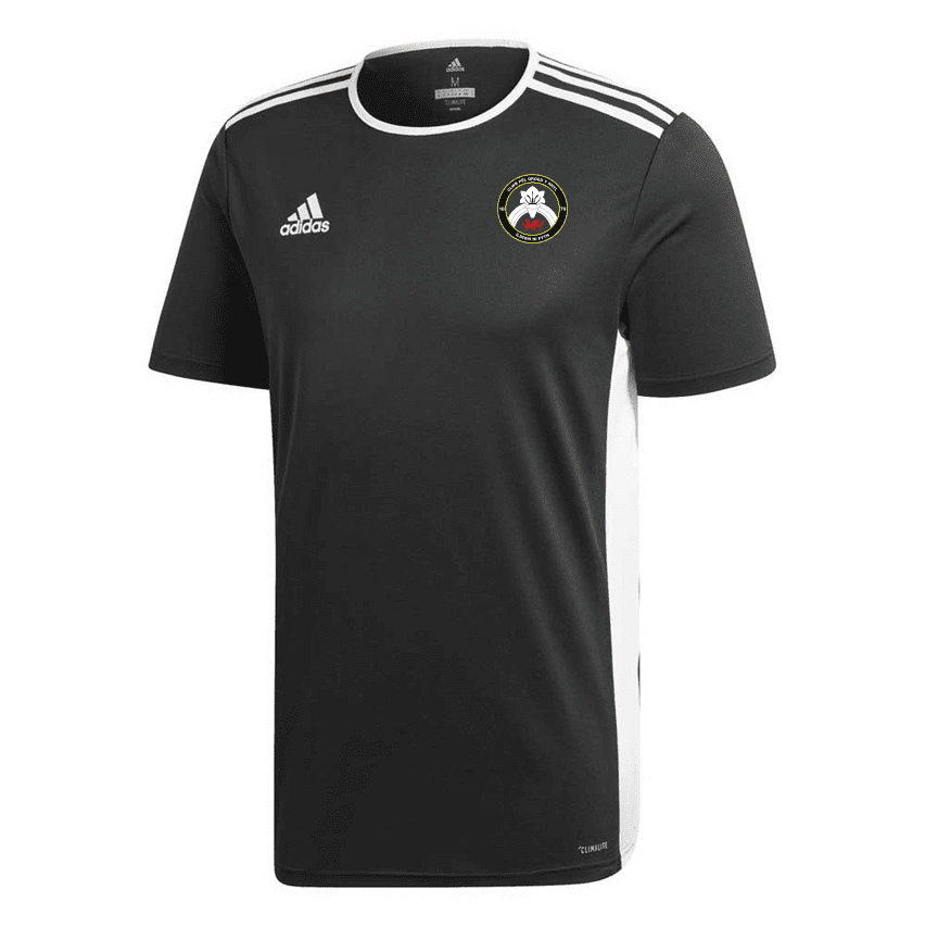 Rhyl Girls Adidas Training TeeShirt