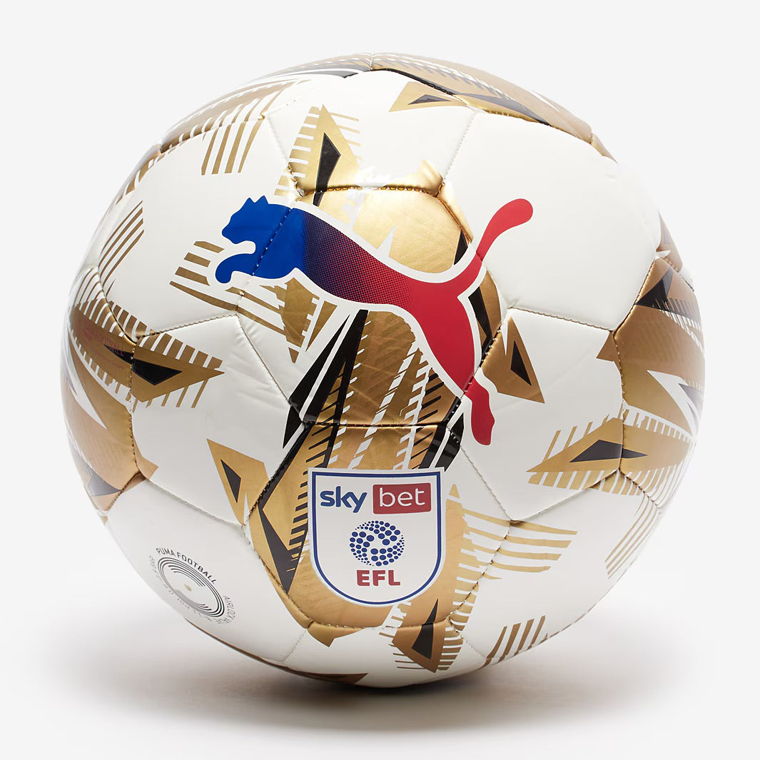 Puma Orbita 6 EFL Sky Bet Football