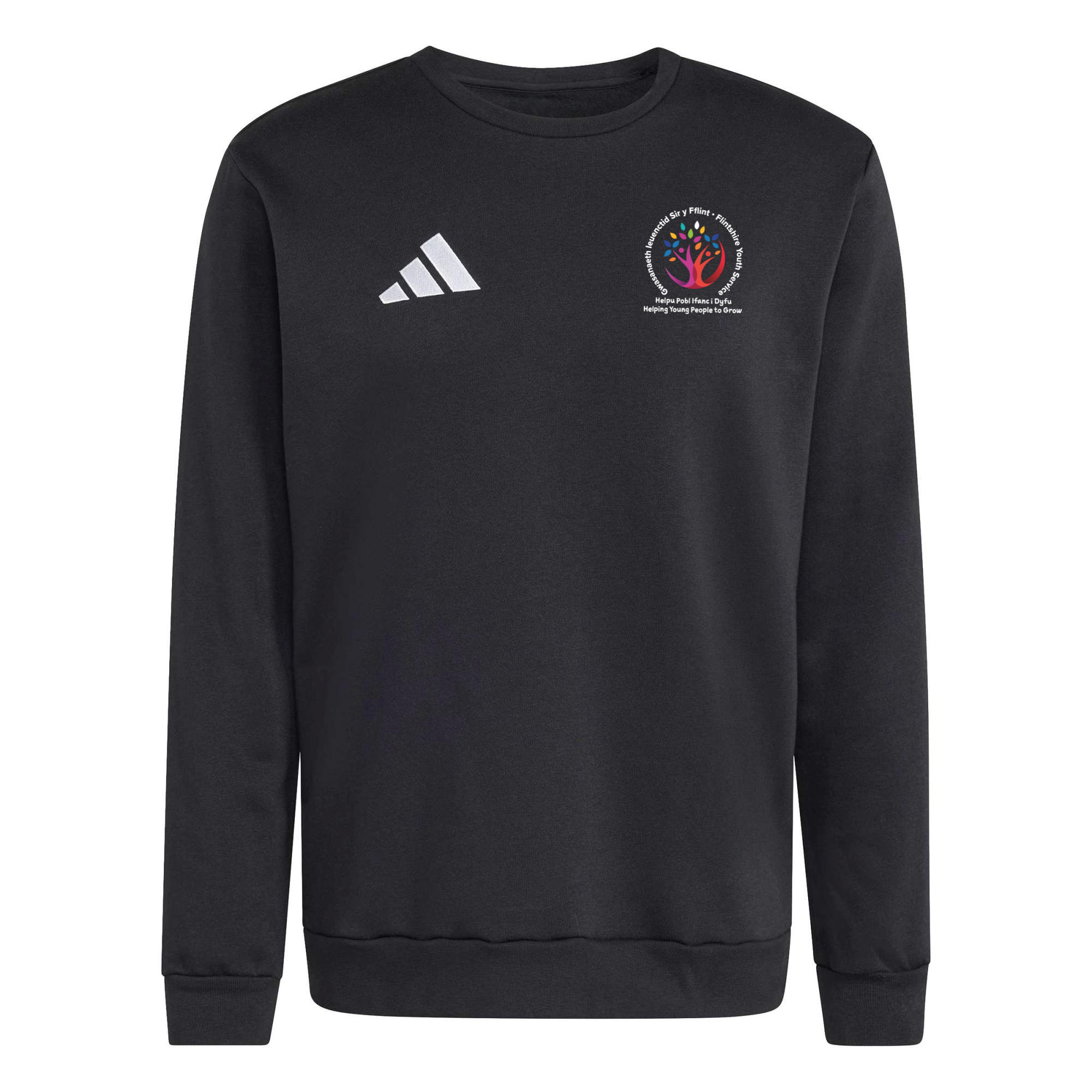 Flintshire Youth Service 26 Sweatshirt