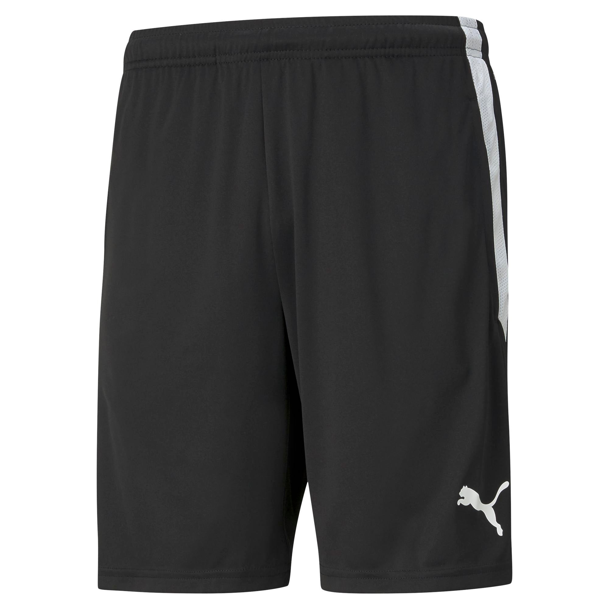 Puma TeamLiga 26 Training Shorts - Queensferry Sports