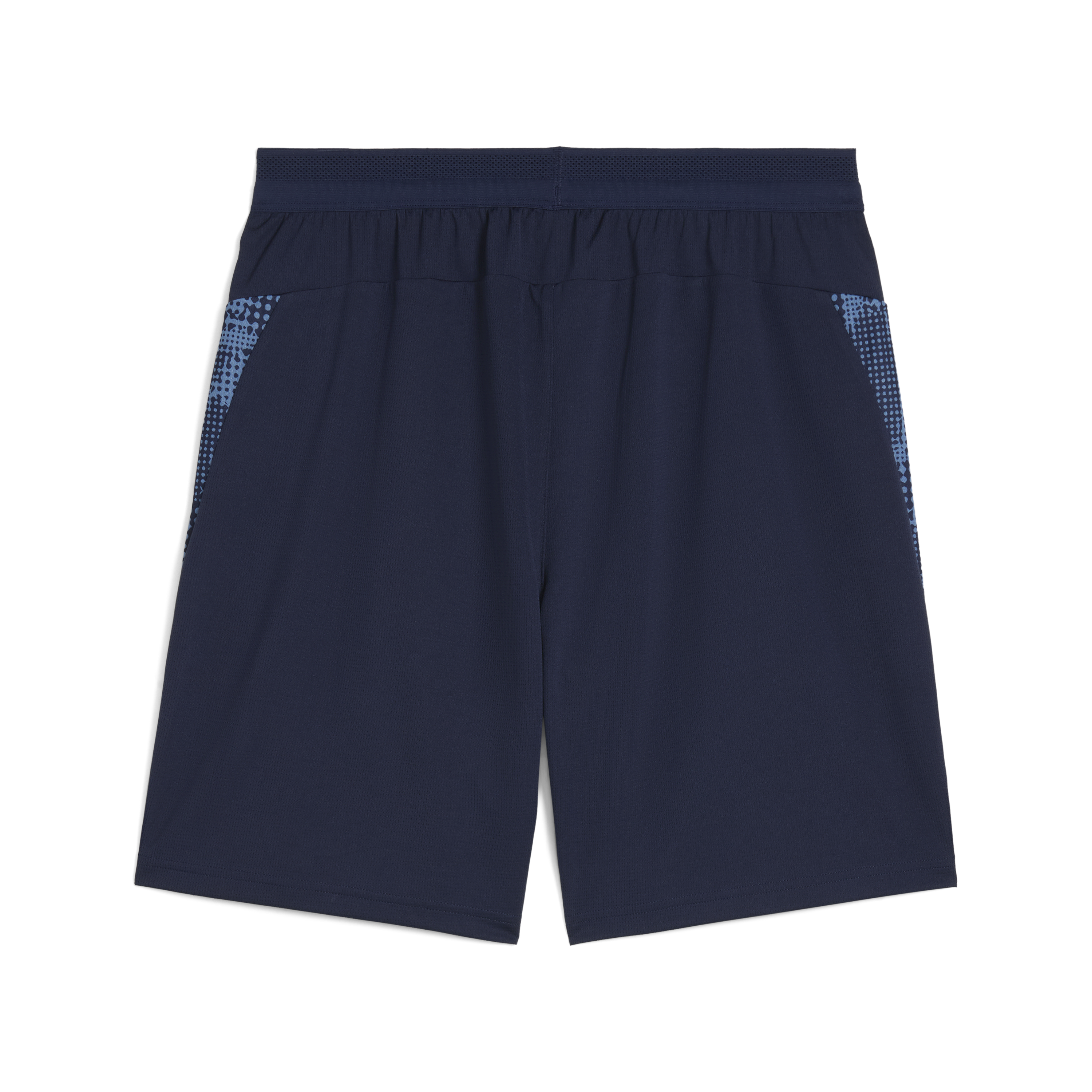 Puma Team Cup Training Shorts