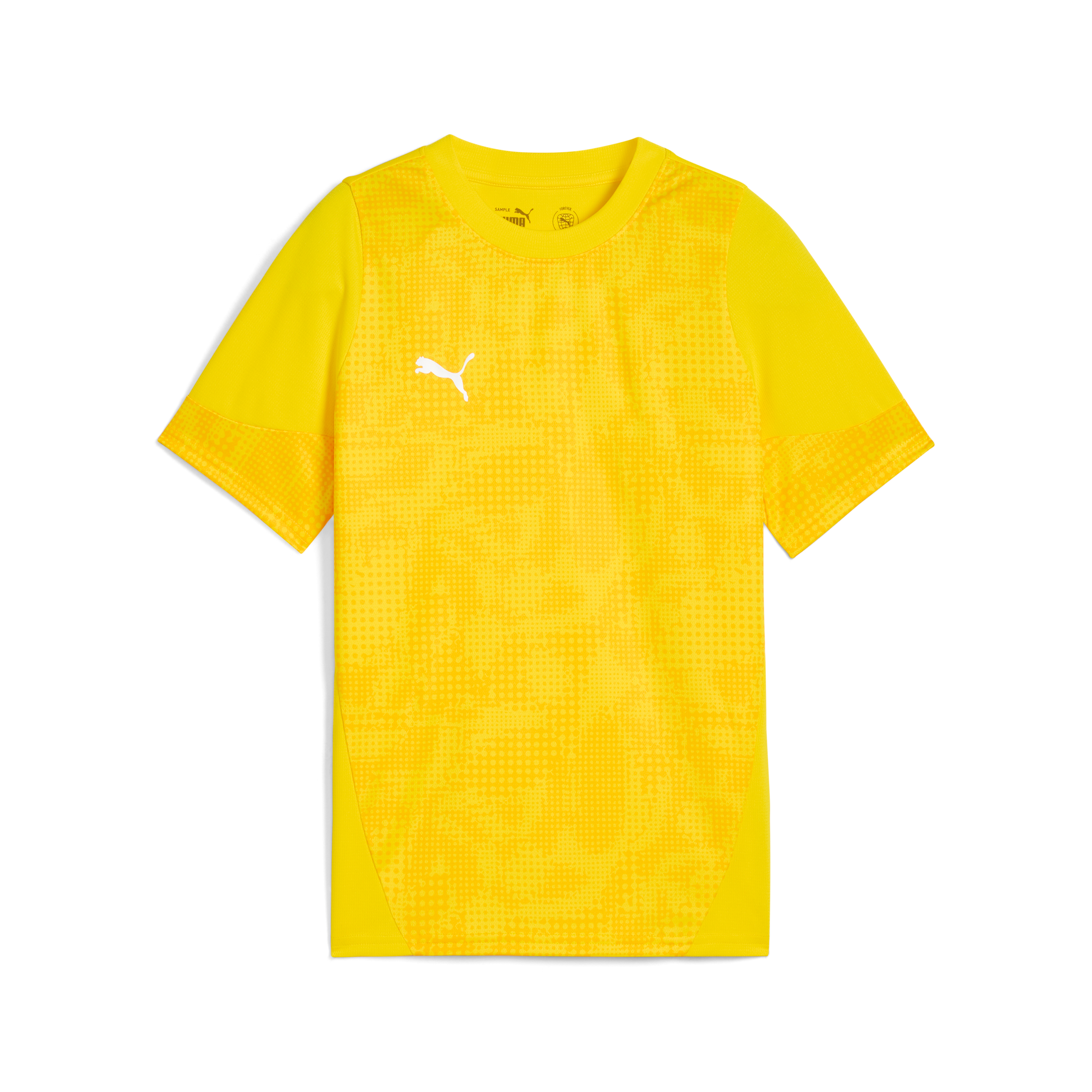 Puma Team Cup Training Jersey