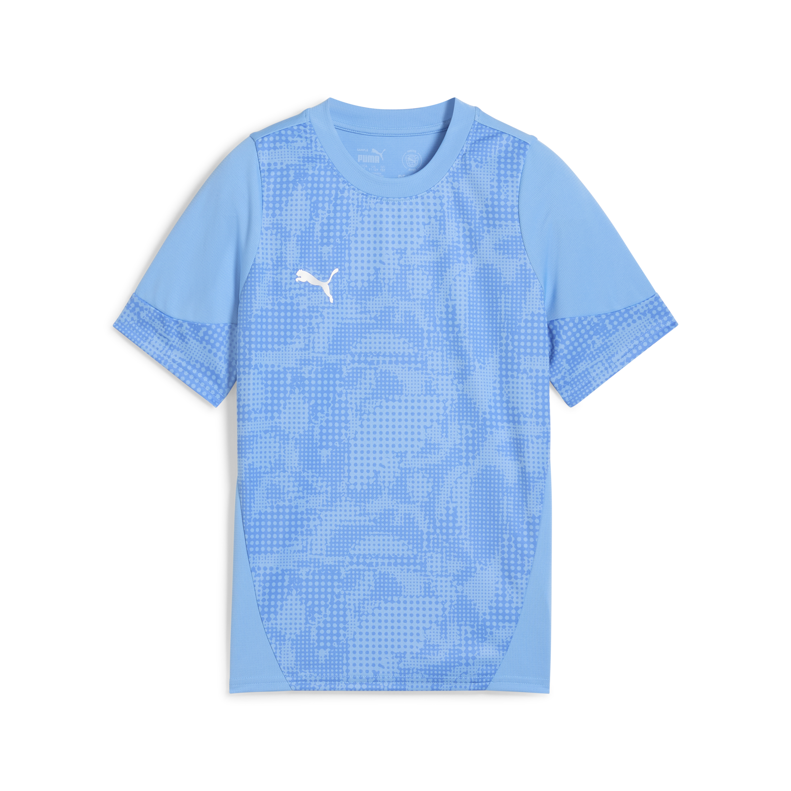 Puma Team Cup Training Jersey