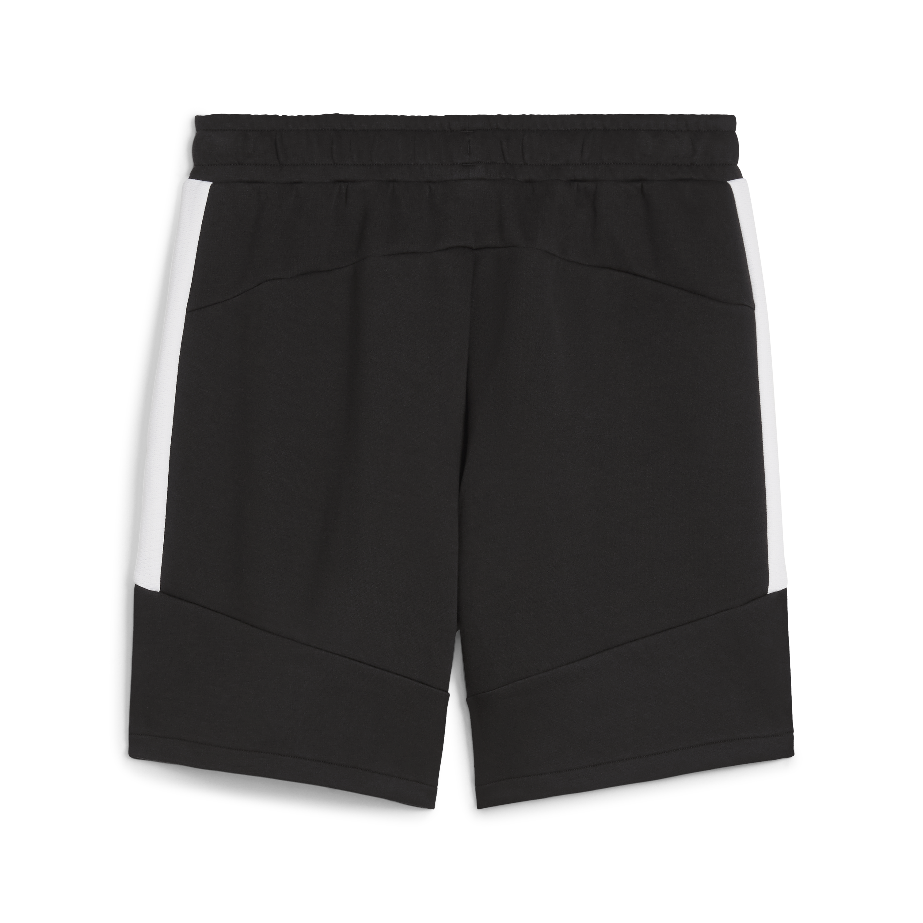 Puma Team Evostripe Shorts