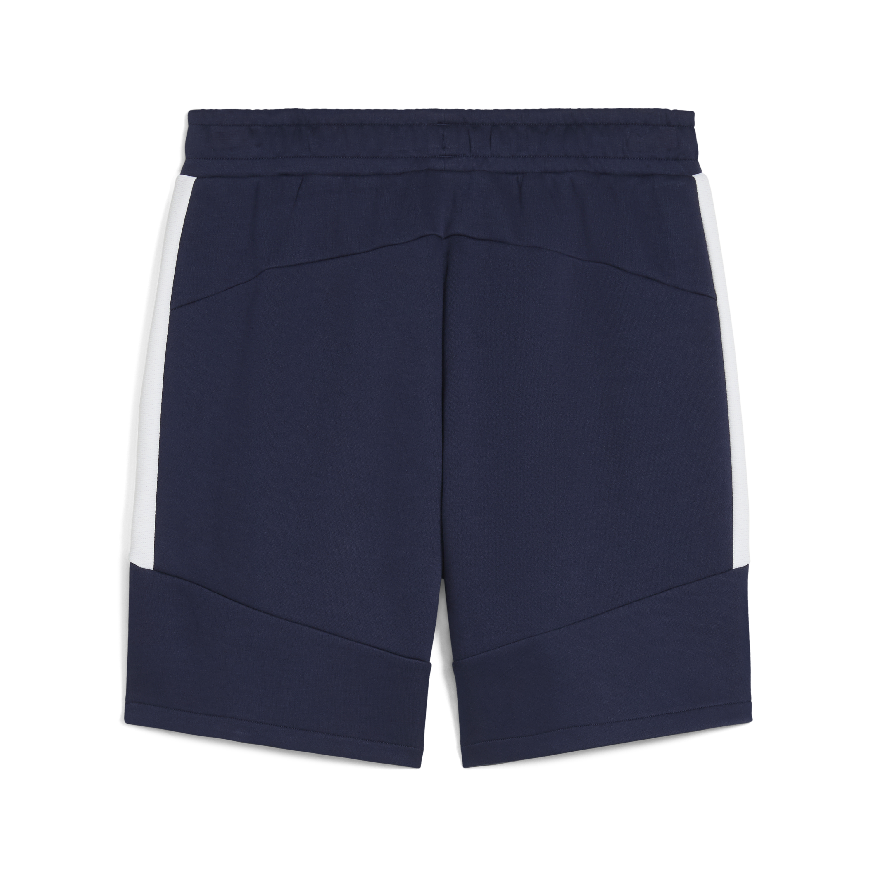 Puma Team Evostripe Shorts