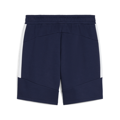 Puma Team Evostripe Shorts