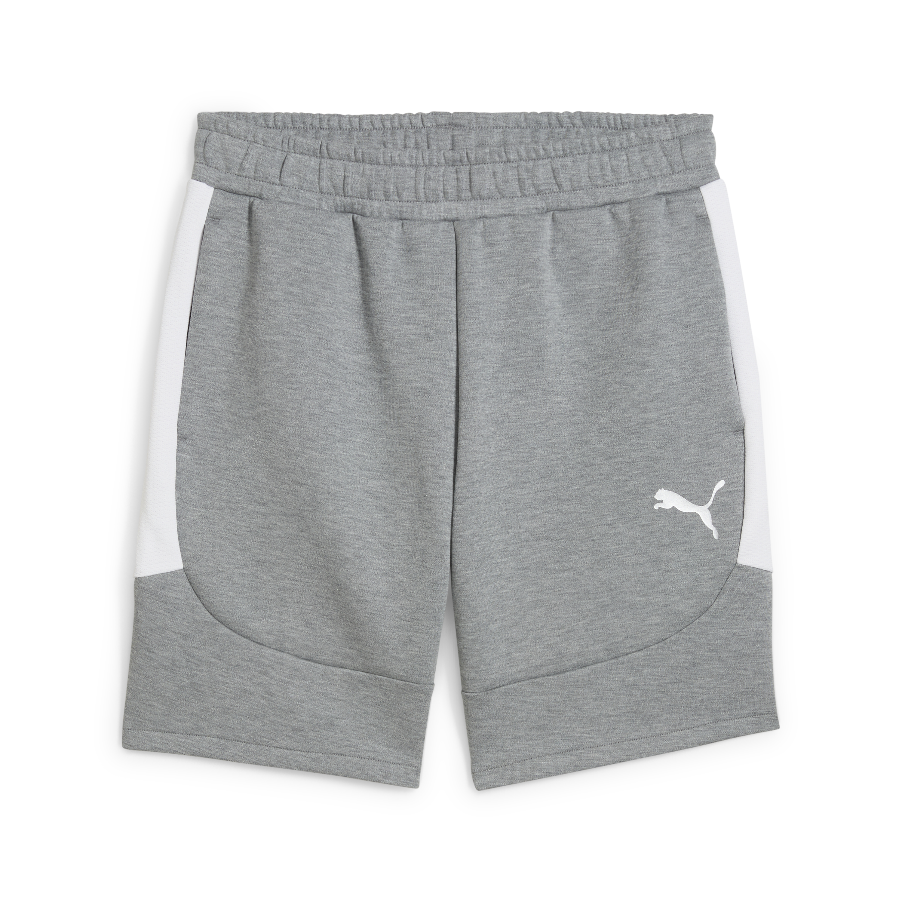 Puma Team Evostripe Shorts