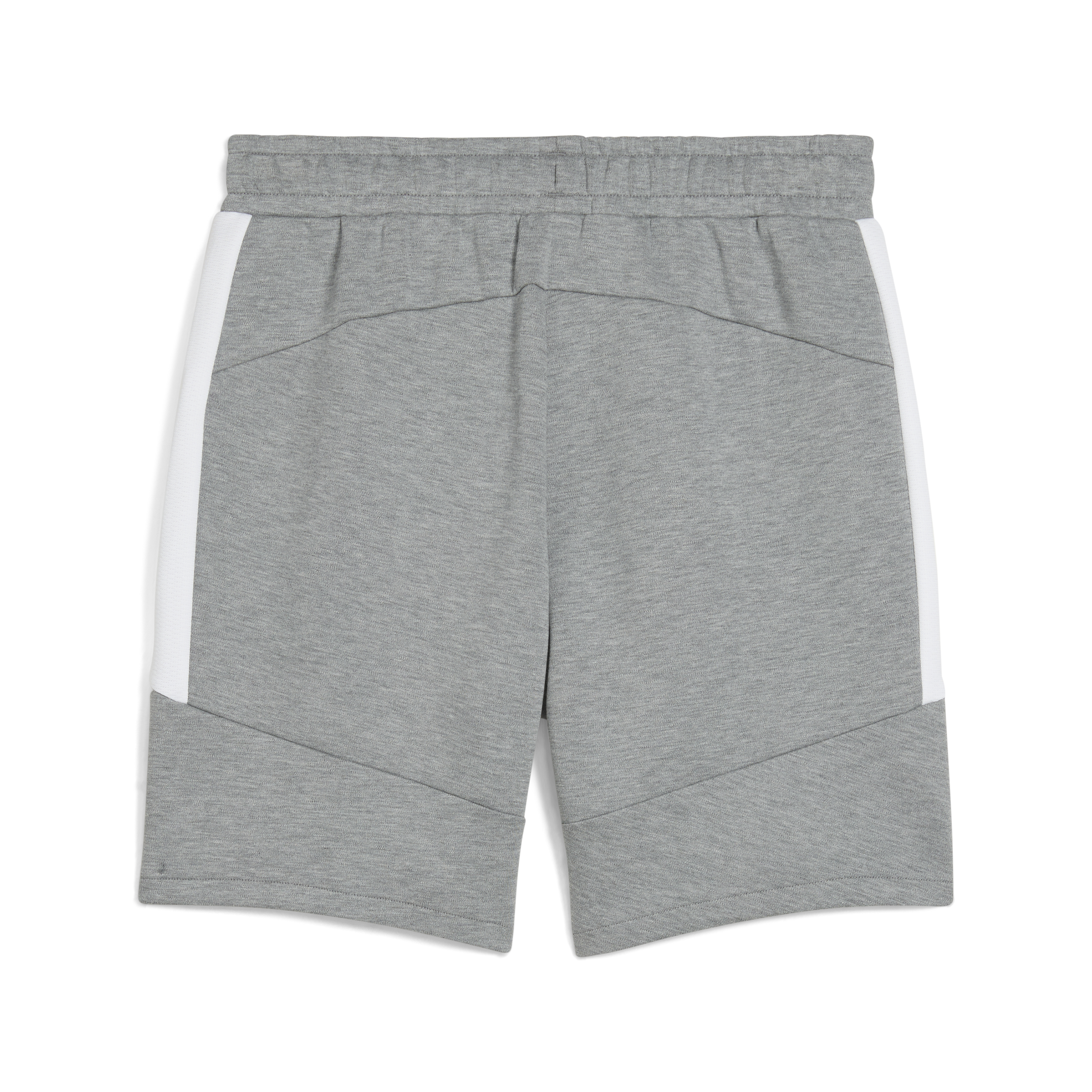 Puma Team Evostripe Shorts