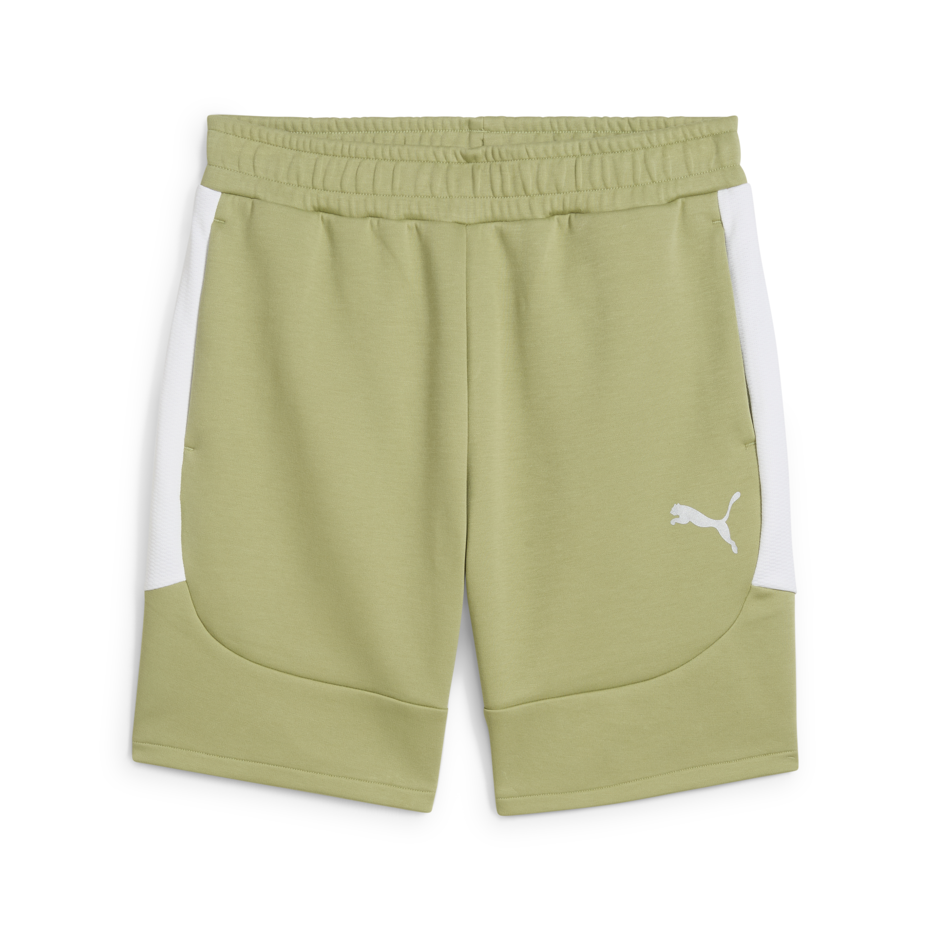 Puma Team Evostripe Shorts