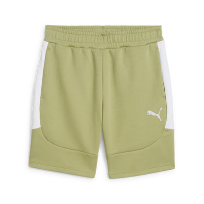 Puma Team Evostripe Shorts