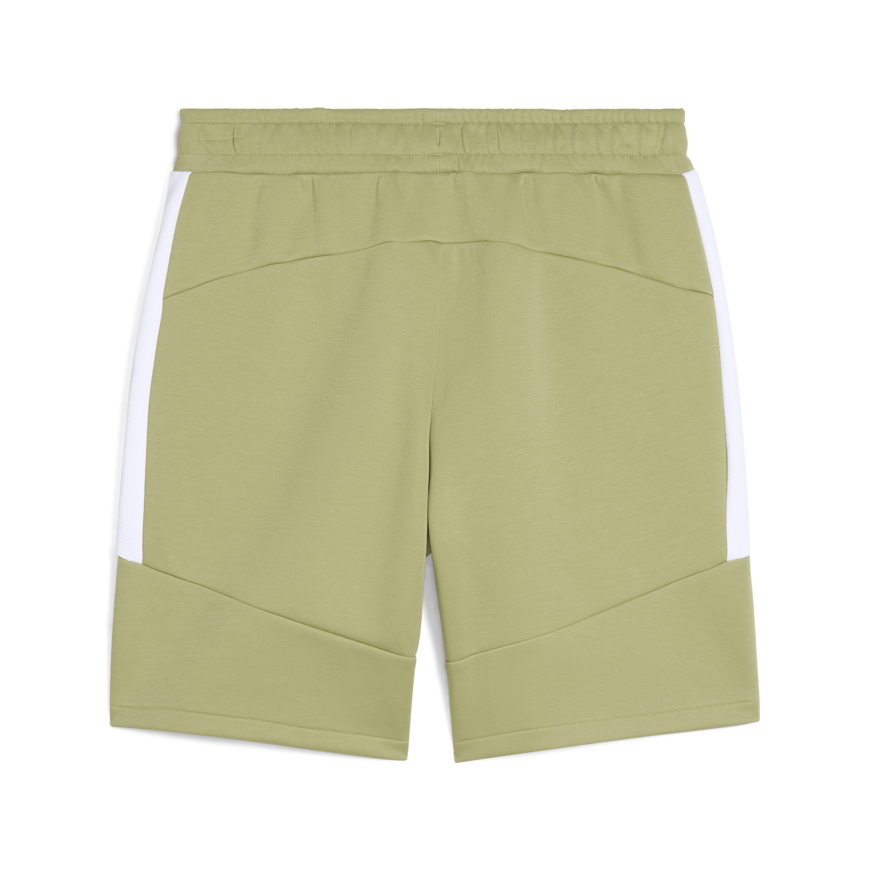 Puma Team Evostripe Shorts