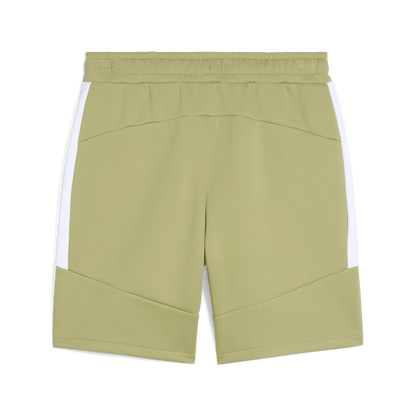 Puma Team Evostripe Shorts