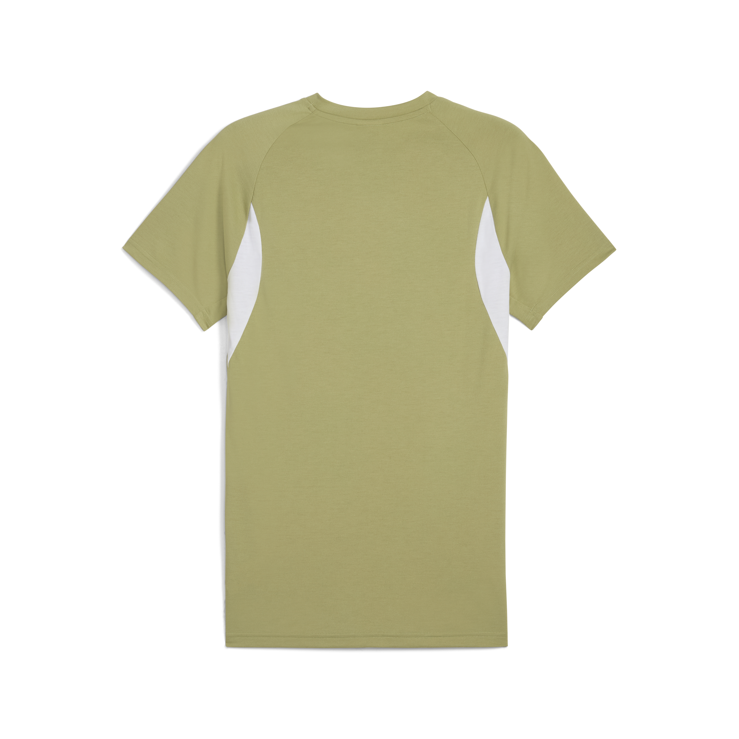 Puma Team Evostripe T-Shirt