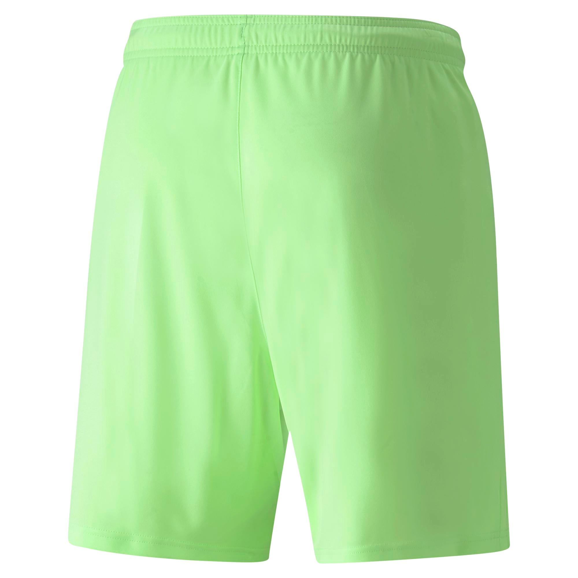 Puma Team Liga Shorts - Queensferry Sports