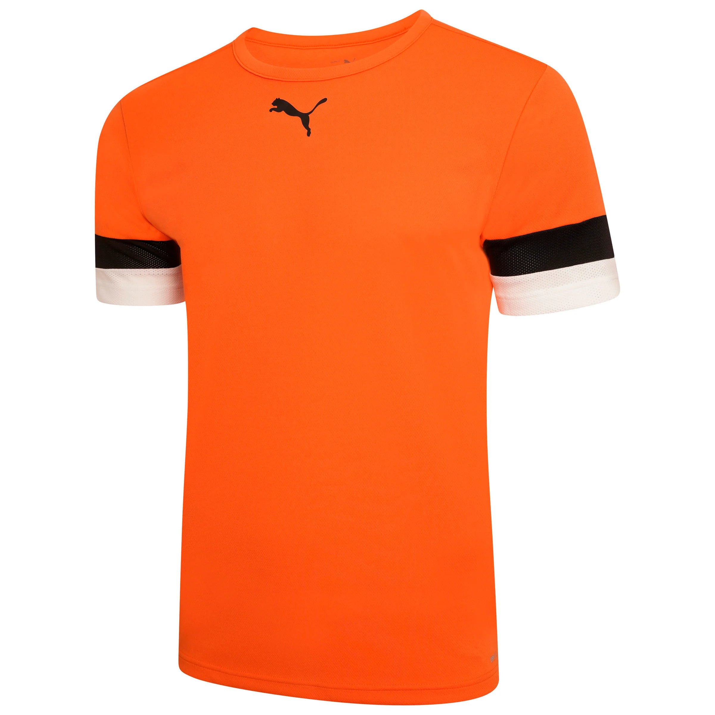 Puma Team Rise Jersey