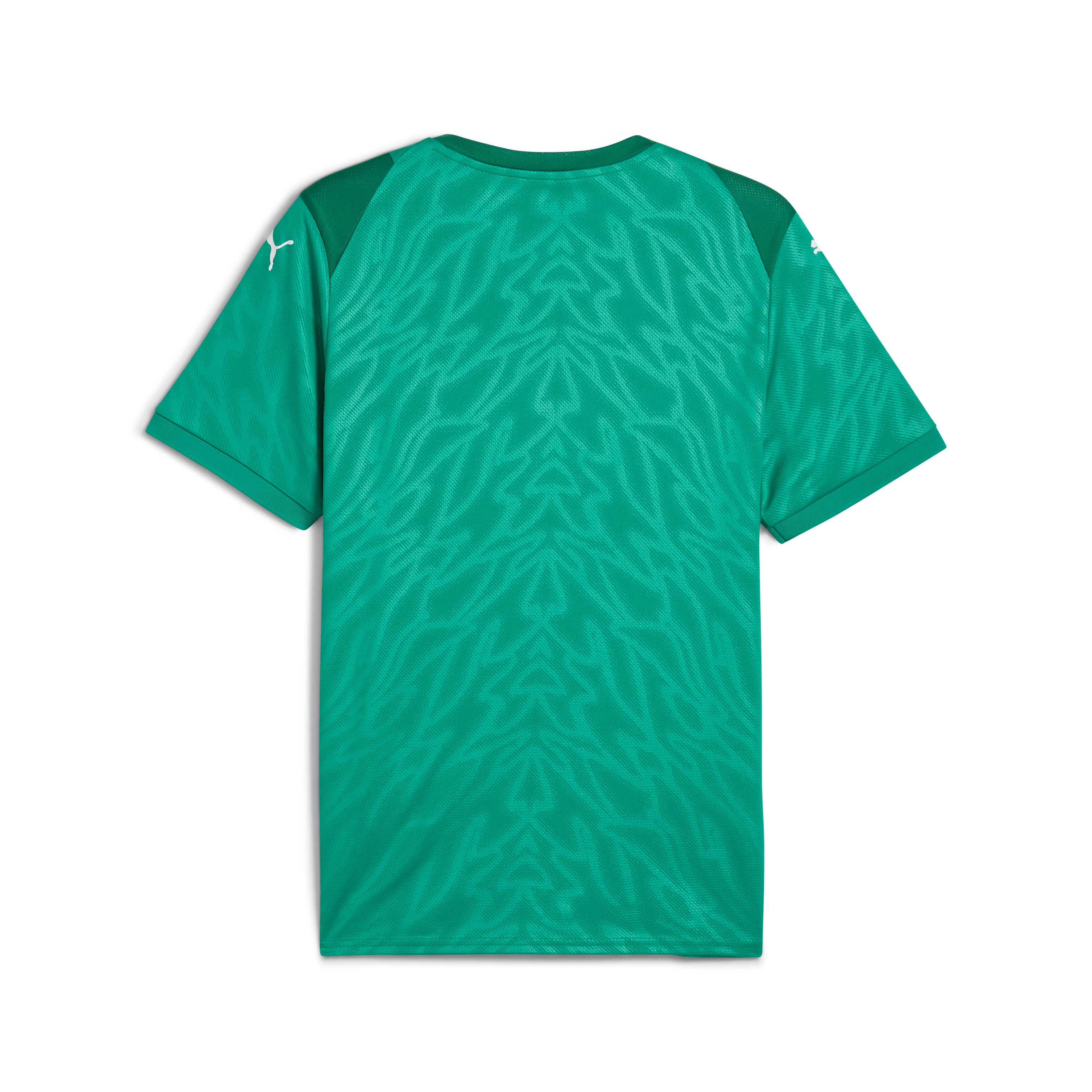 Puma Team Cup Jersey