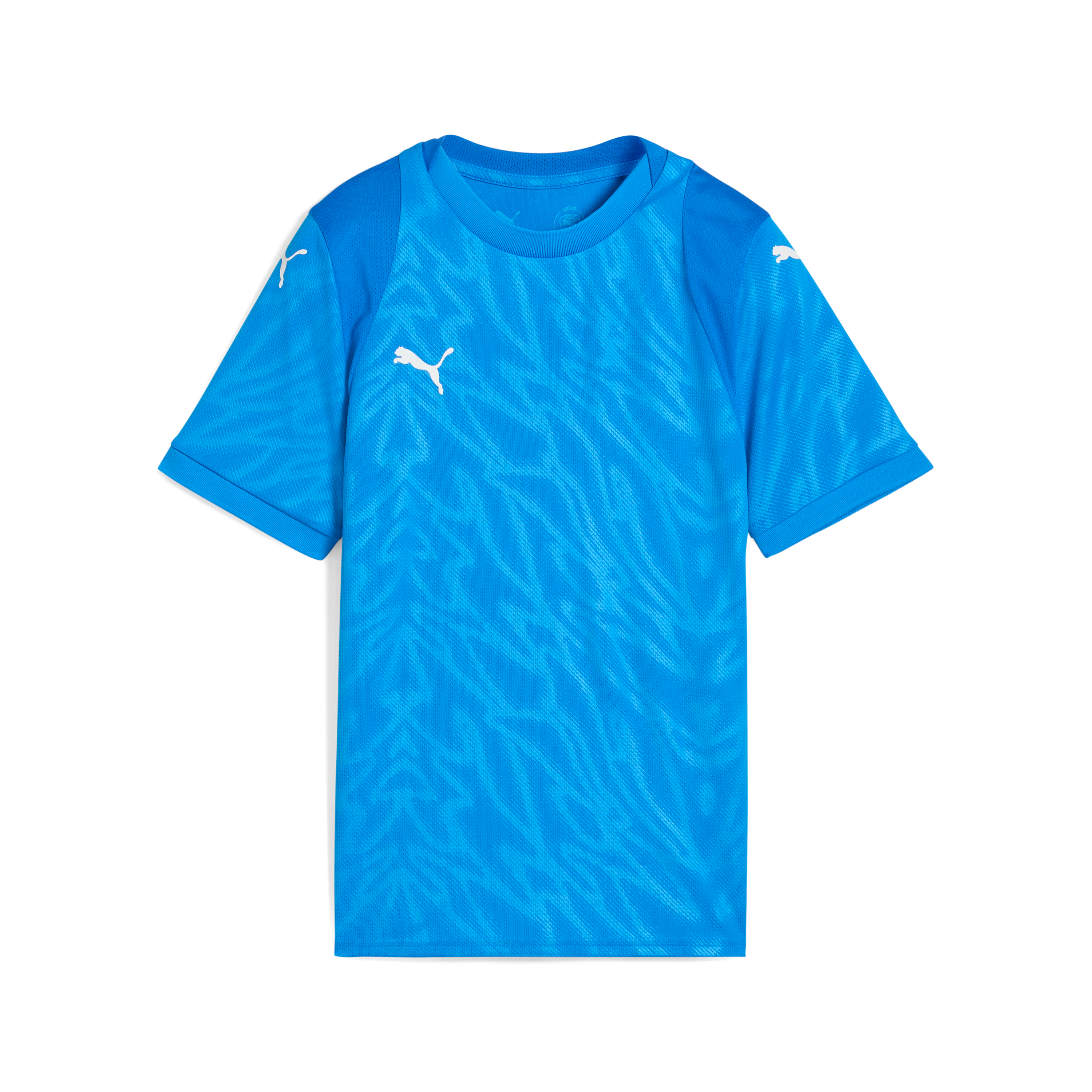 Puma Team Cup Jersey