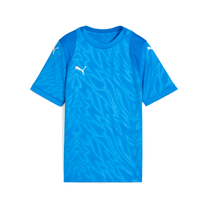 Puma Team Cup Jersey