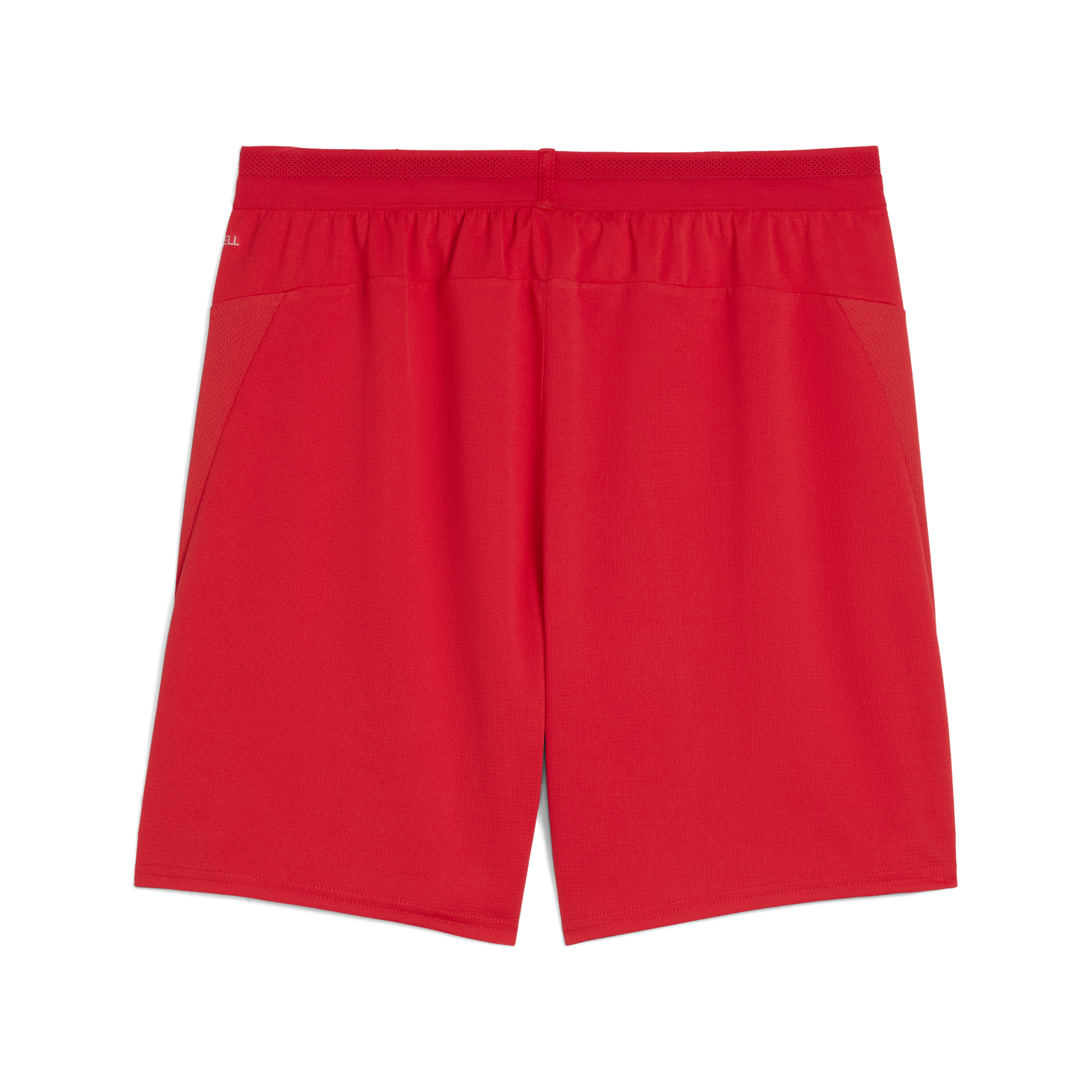 Puma Team Cup Shorts