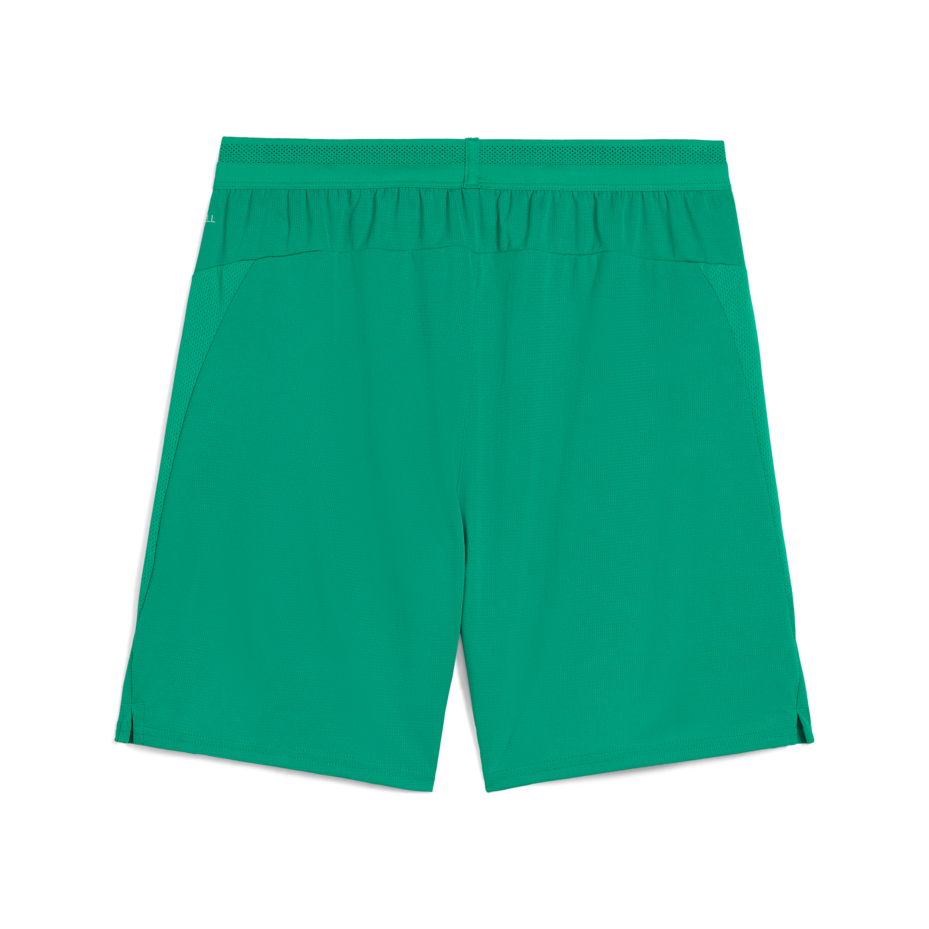 Puma Team Cup Shorts