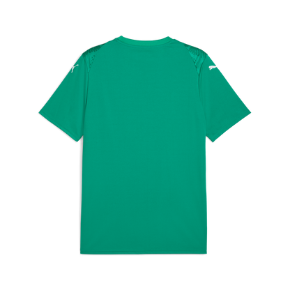 Puma Team Ultimate Jersey