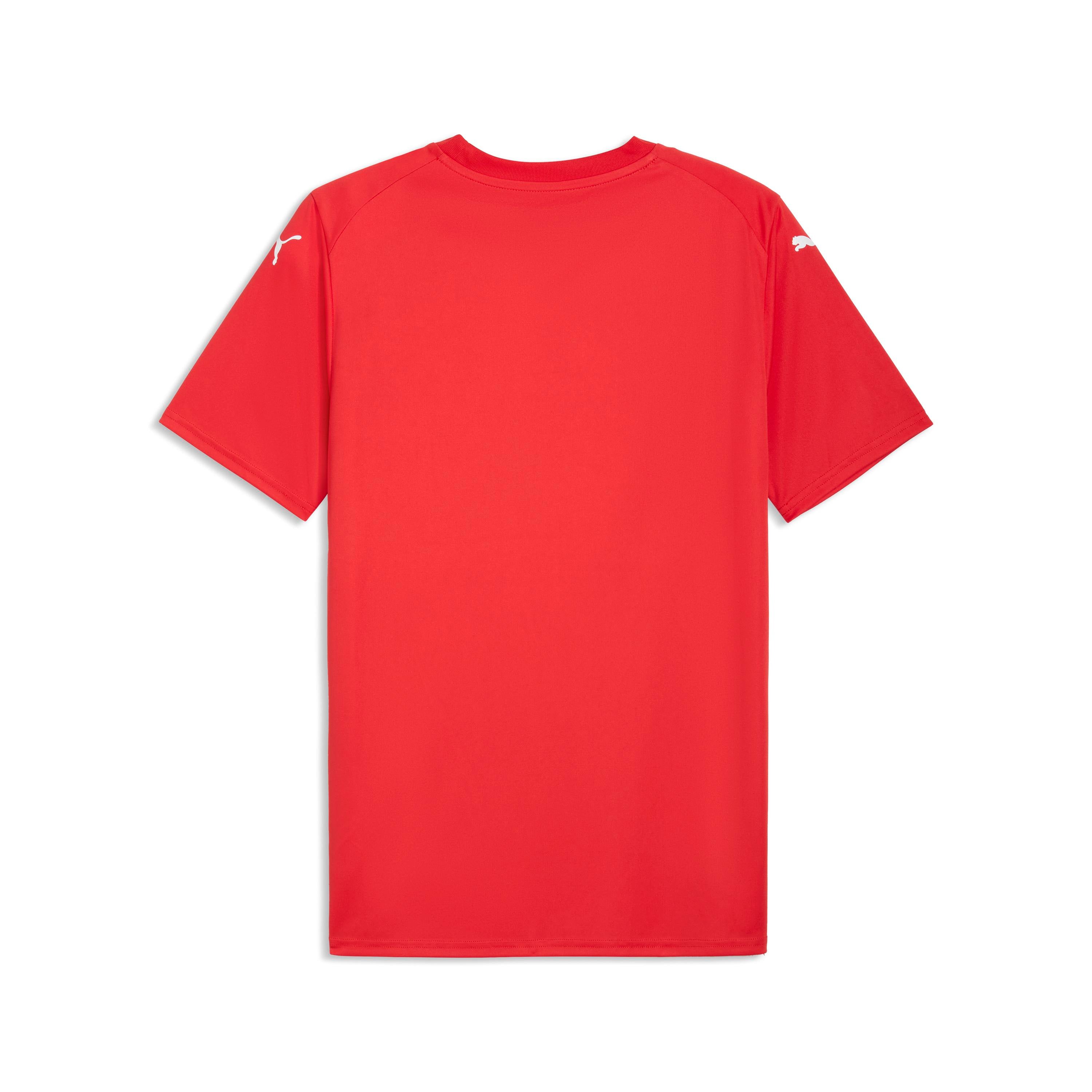 Puma TeamFinal 26 Graphic Jersey - Queensferry Sports