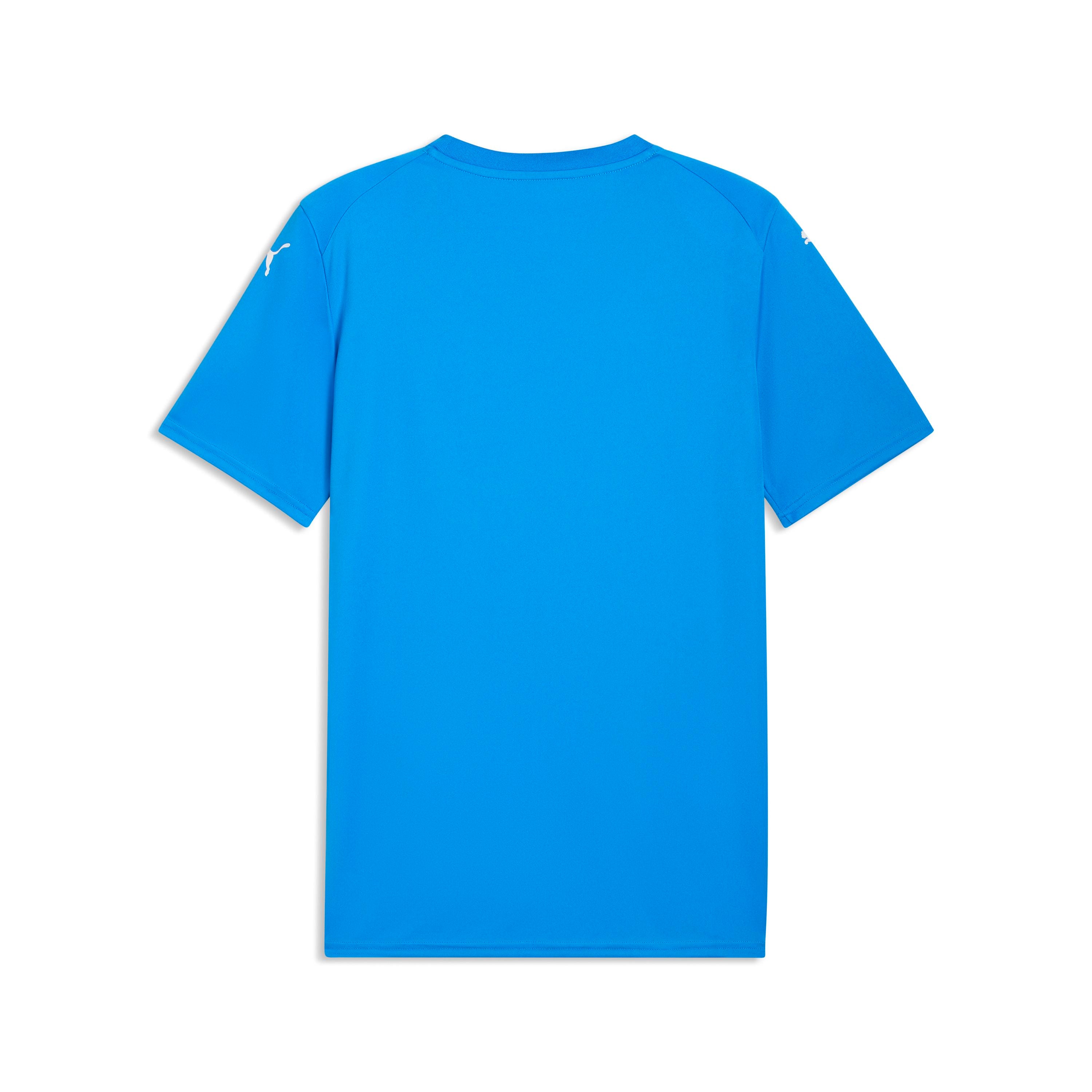 Puma TeamFinal 26 Graphic Jersey - Queensferry Sports