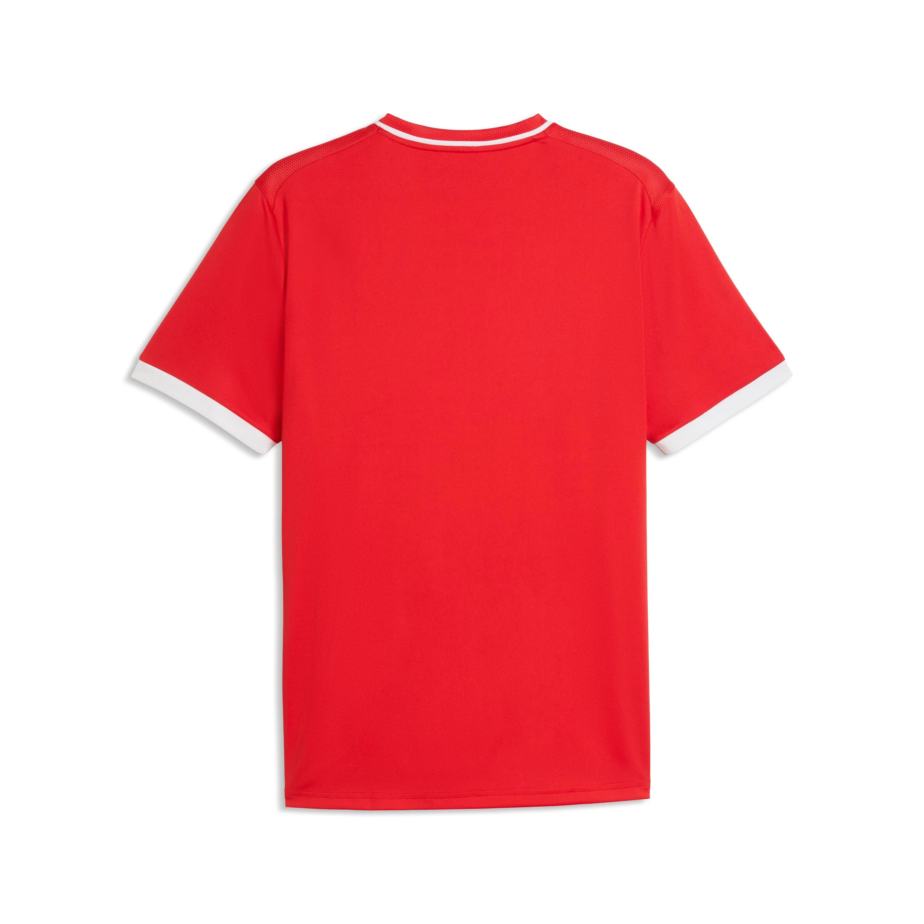 Puma TeamLiga 26 Striped Jersey - Queensferry Sports