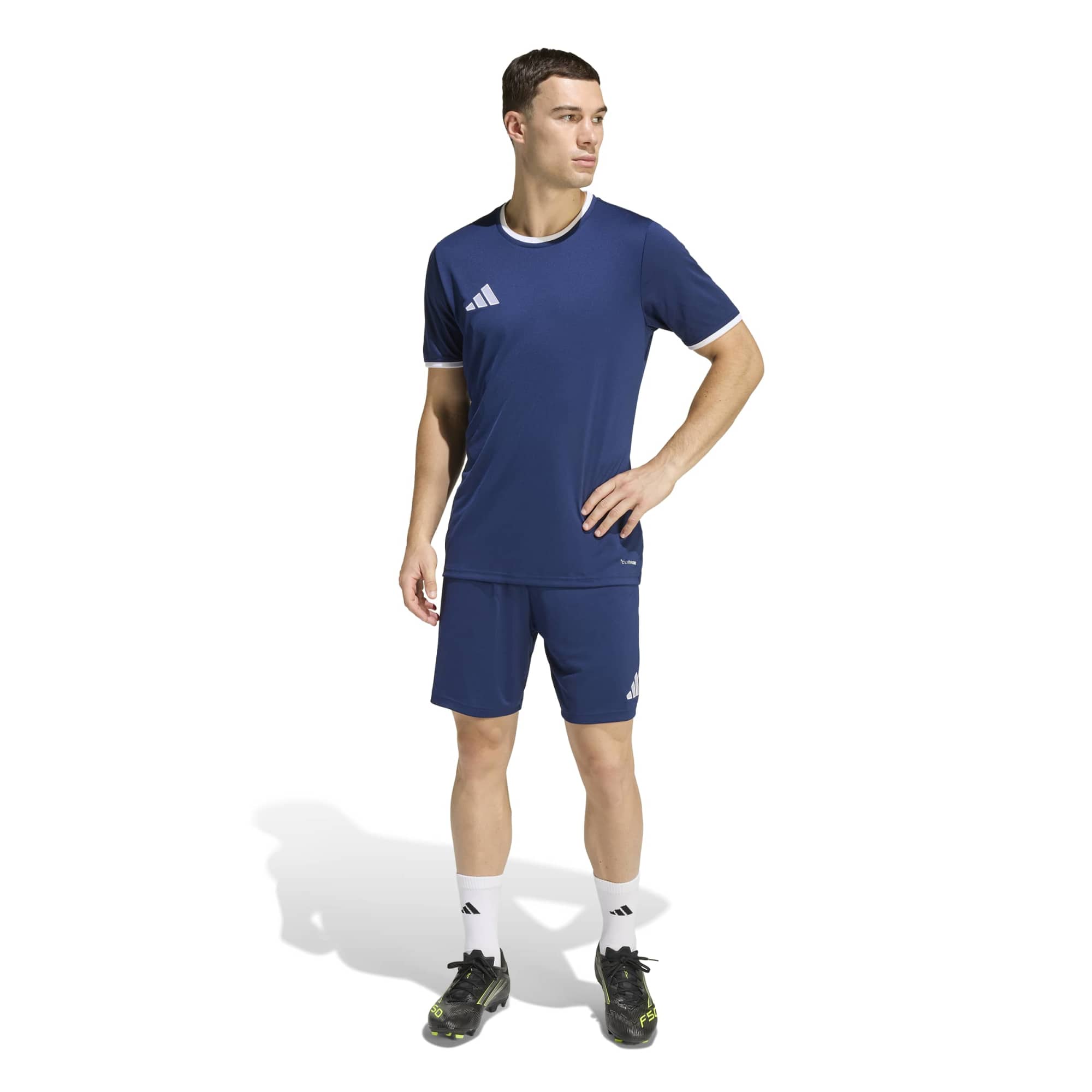 Adidas Entrada 26 Matchday Shorts